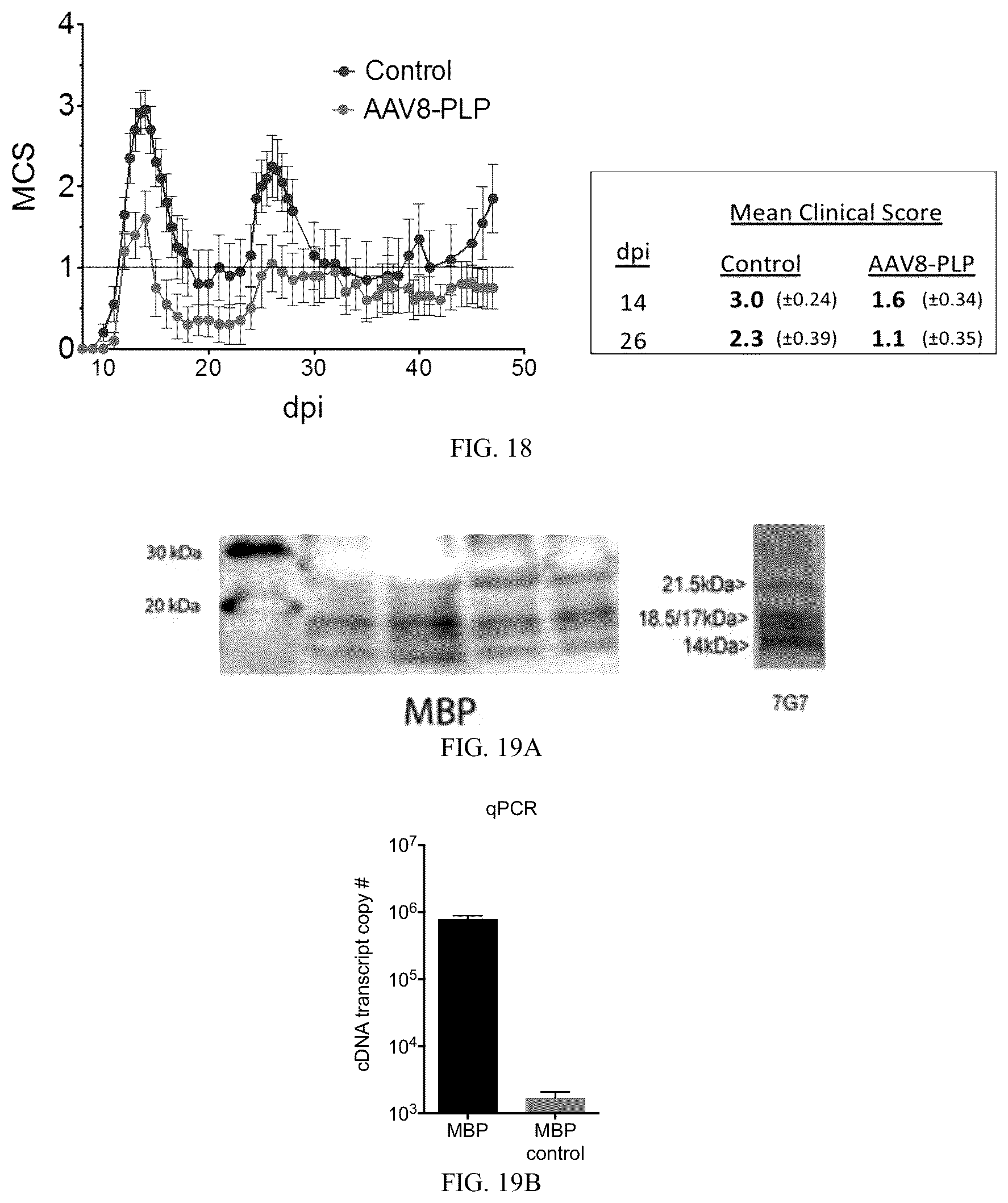Patent US12297444 Figure 19 – AAV-based gene therapies for treatment of autoimmune diseases