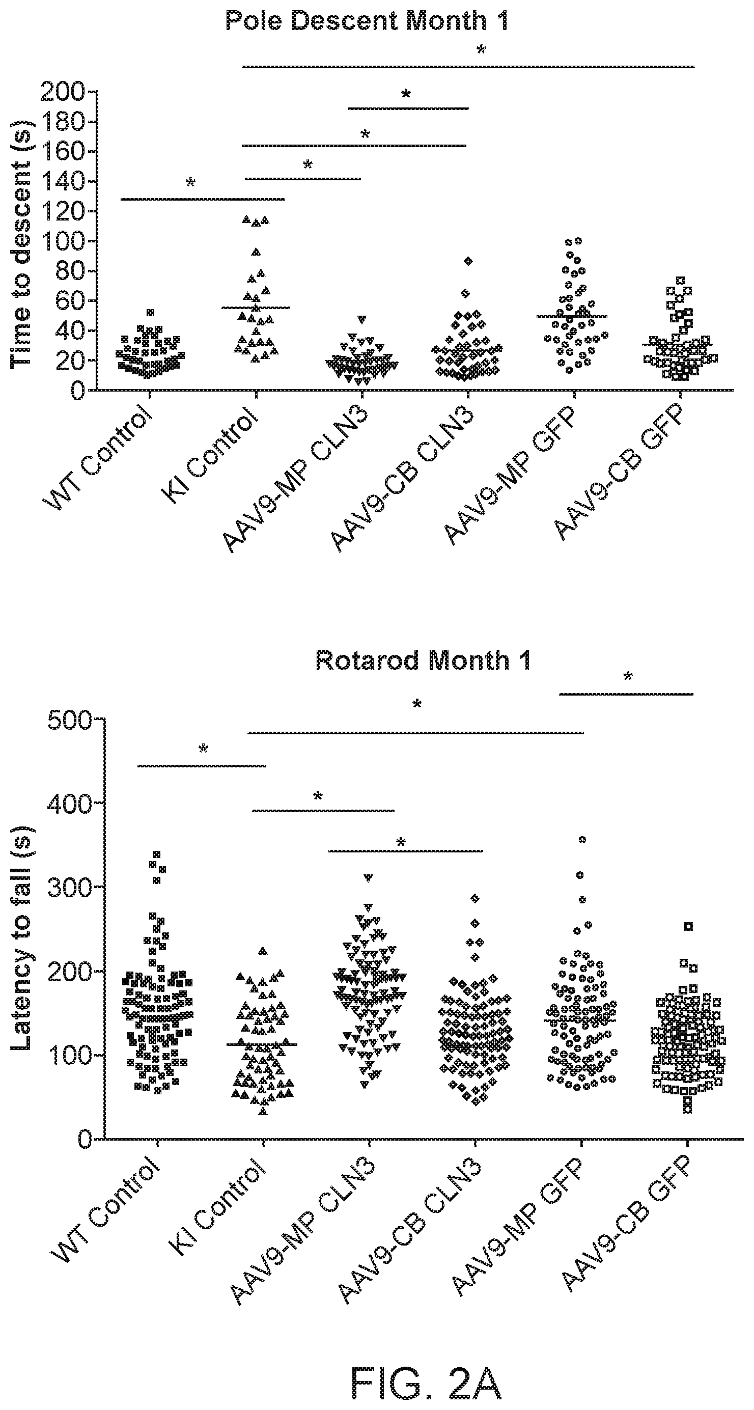 Patent US12297447 Figure 2 – Gene therapy for juvenile Batten disease