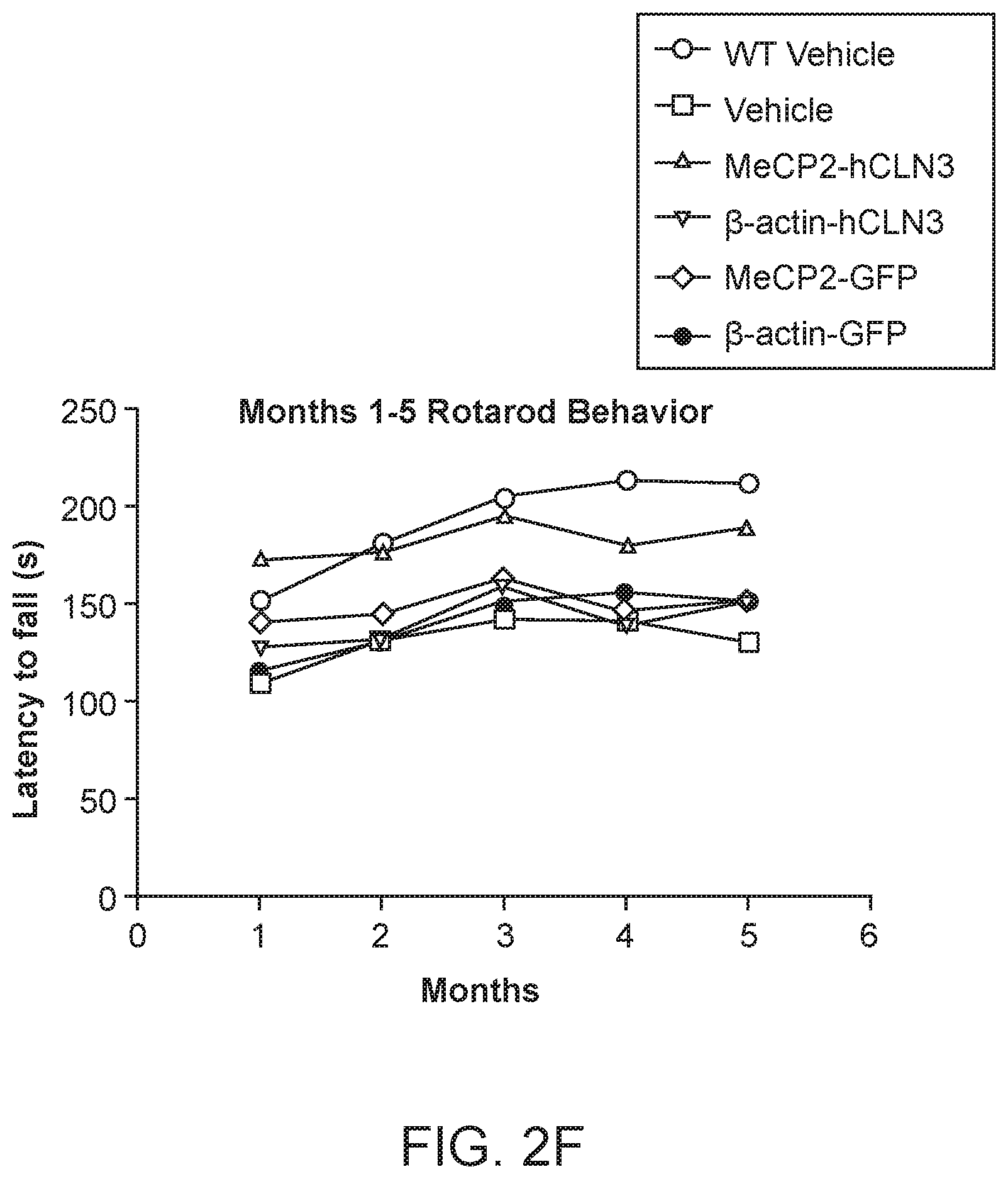 Patent US12297447 Figure 7 – Gene therapy for juvenile Batten disease