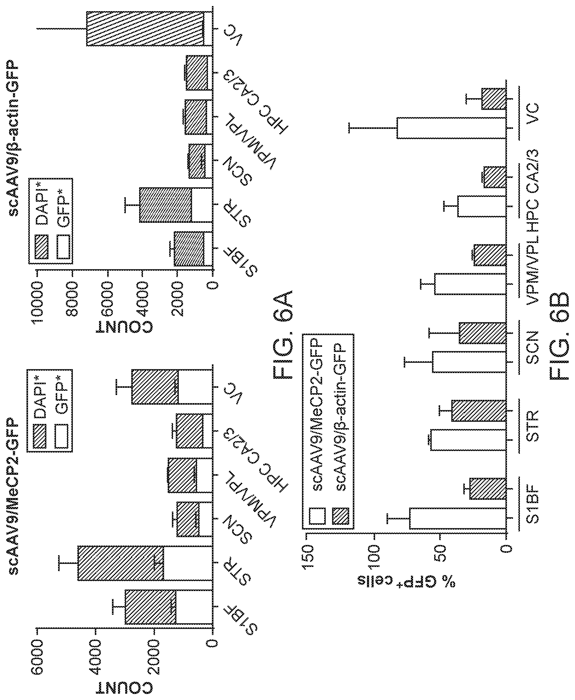 Patent US12297447 Figure 11 – Gene therapy for juvenile Batten disease