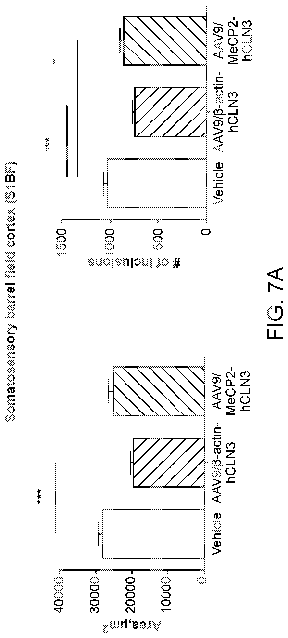 Patent US12297447 Figure 12 – Gene therapy for juvenile Batten disease