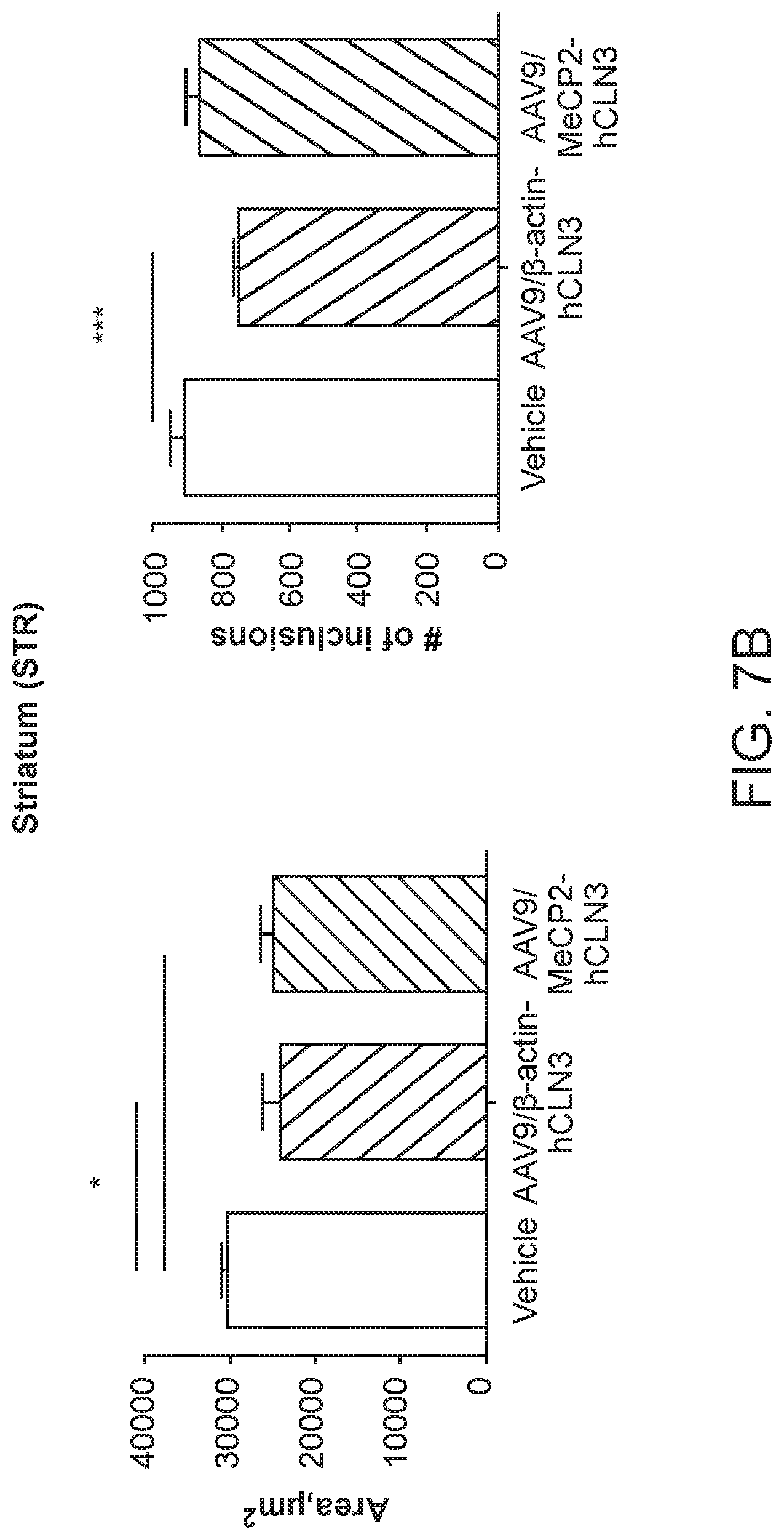 Patent US12297447 Figure 13 – Gene therapy for juvenile Batten disease