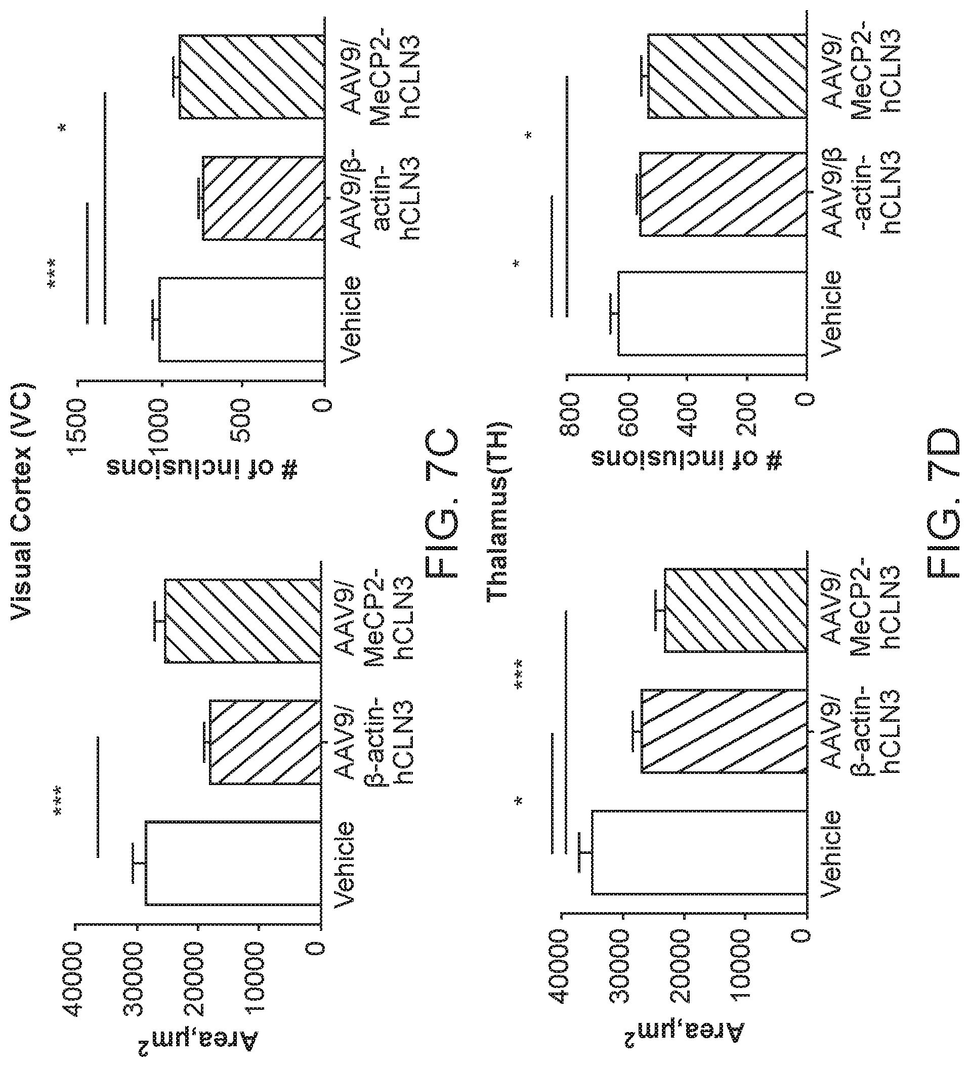 Patent US12297447 Figure 14 – Gene therapy for juvenile Batten disease
