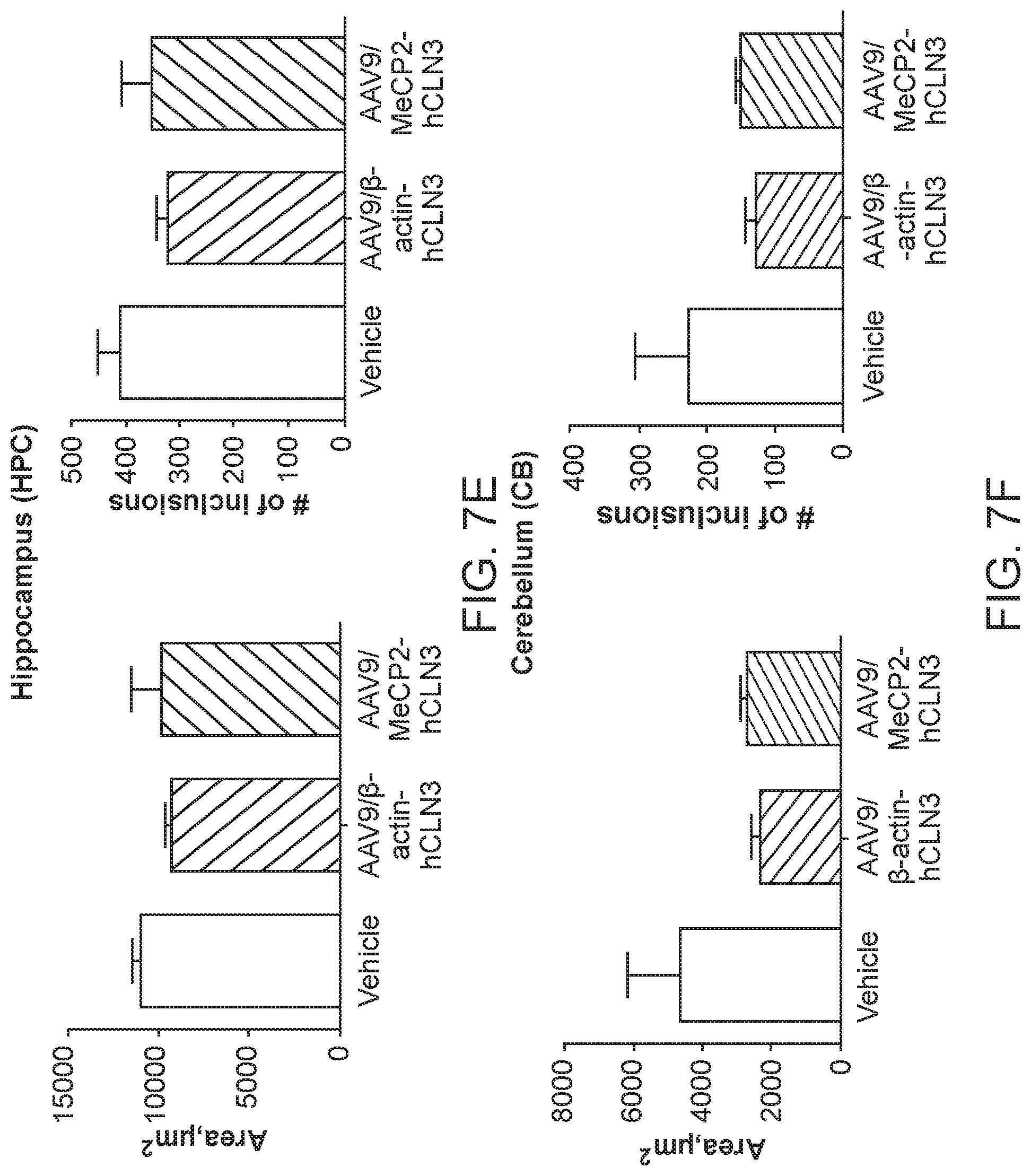 Patent US12297447 Figure 15 – Gene therapy for juvenile Batten disease