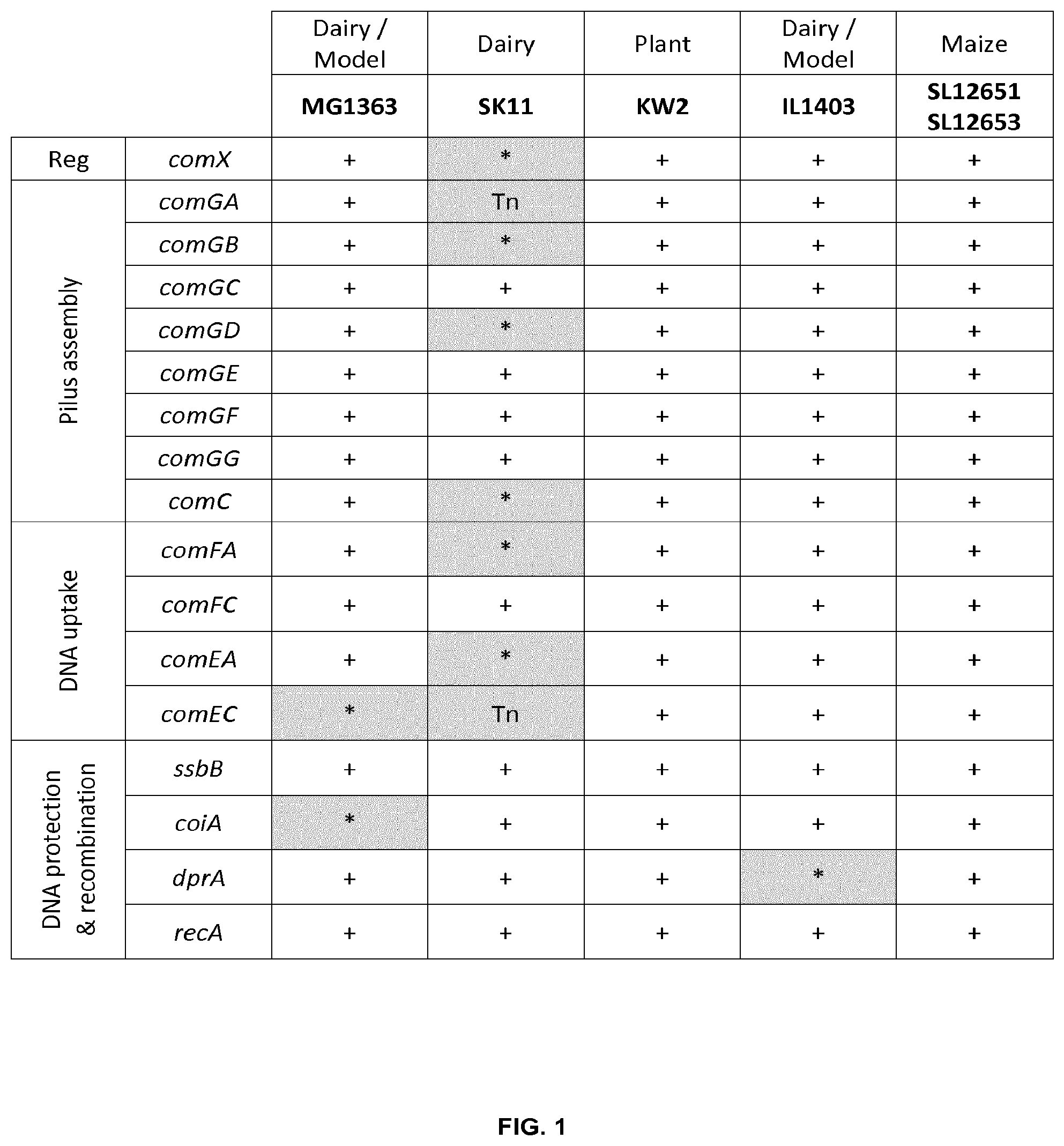 Patent US12297448 Figure 1 – Methods and strain