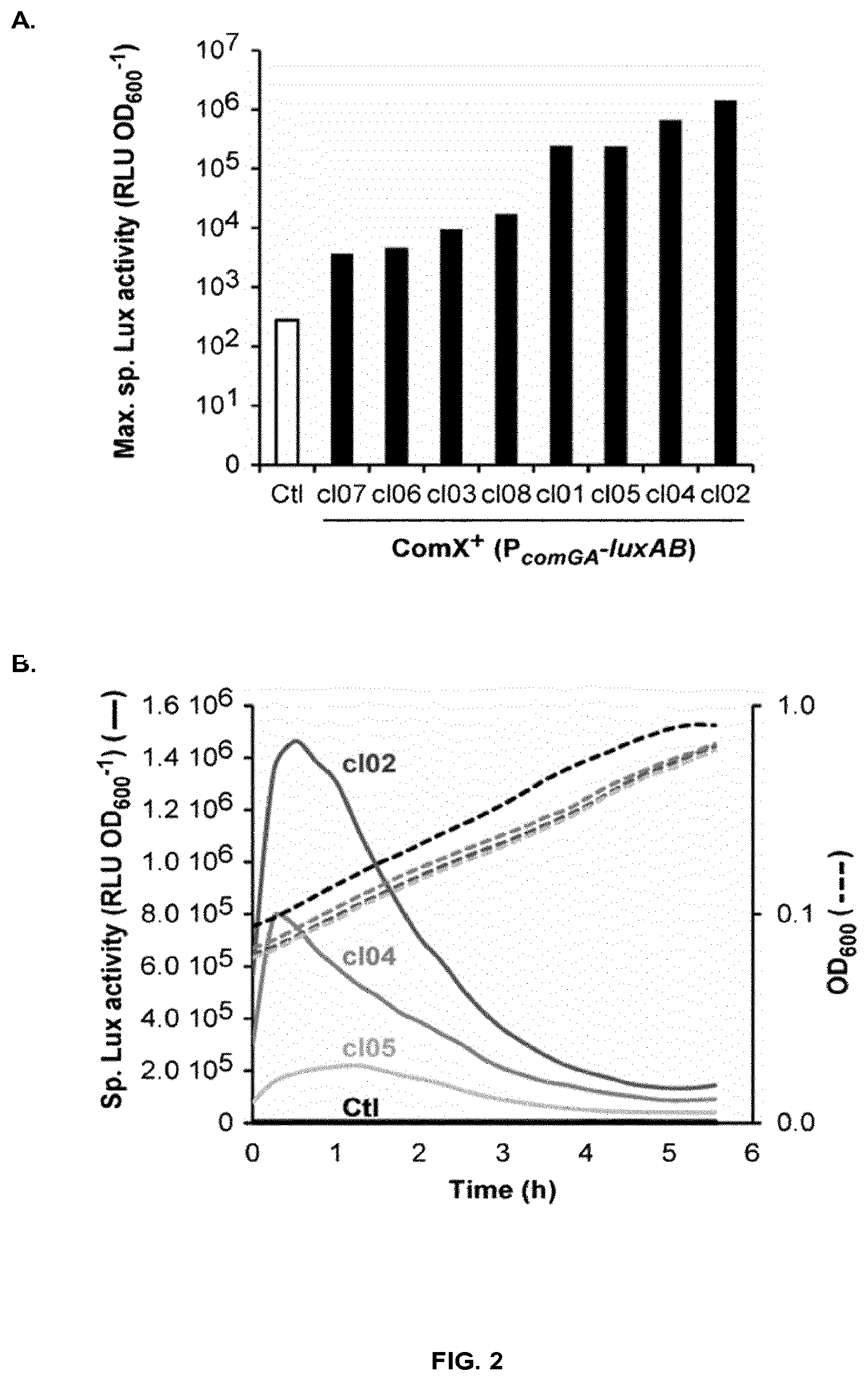 Patent US12297448 Figure 2 – Methods and strain