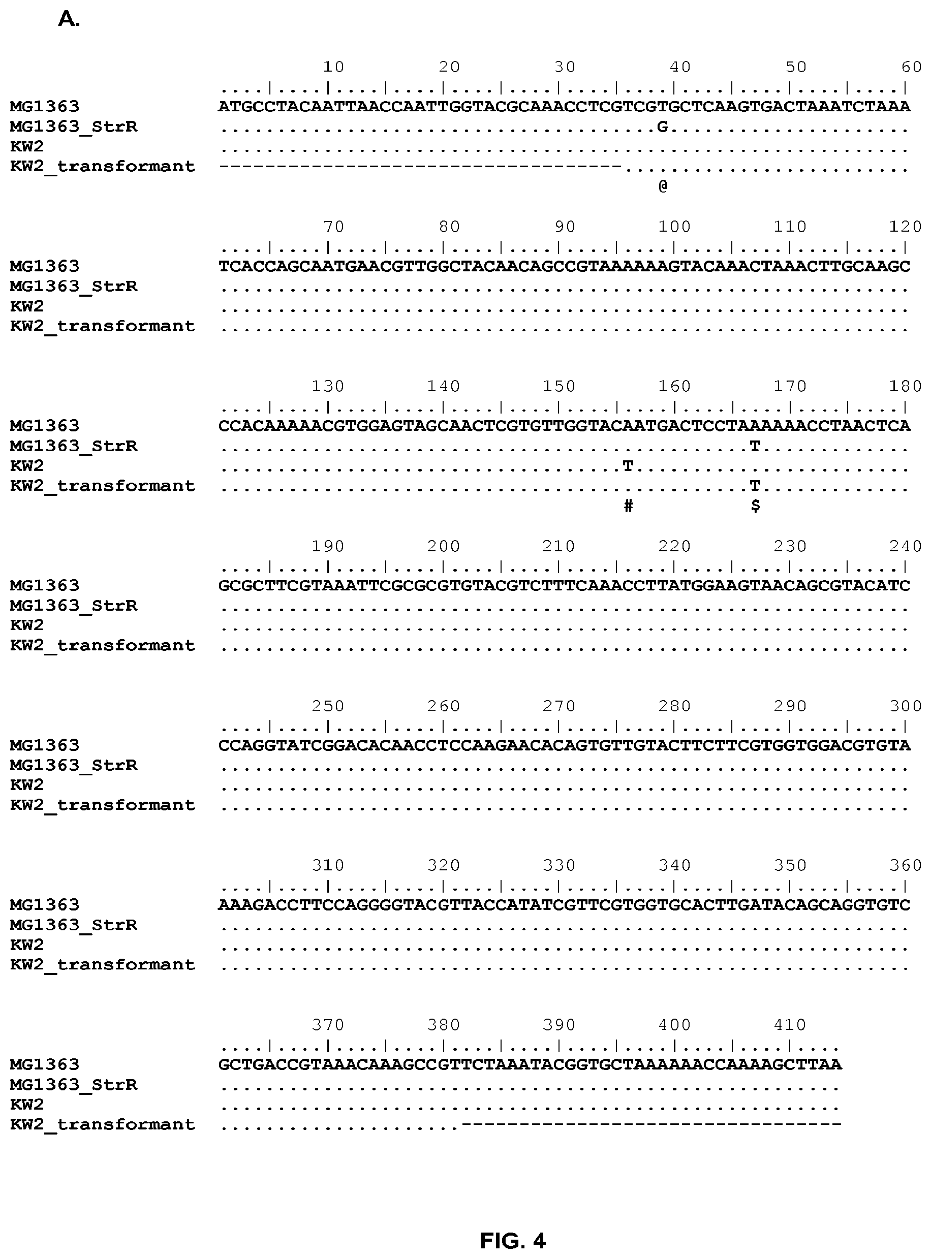 Patent US12297448 Figure 5 – Methods and strain