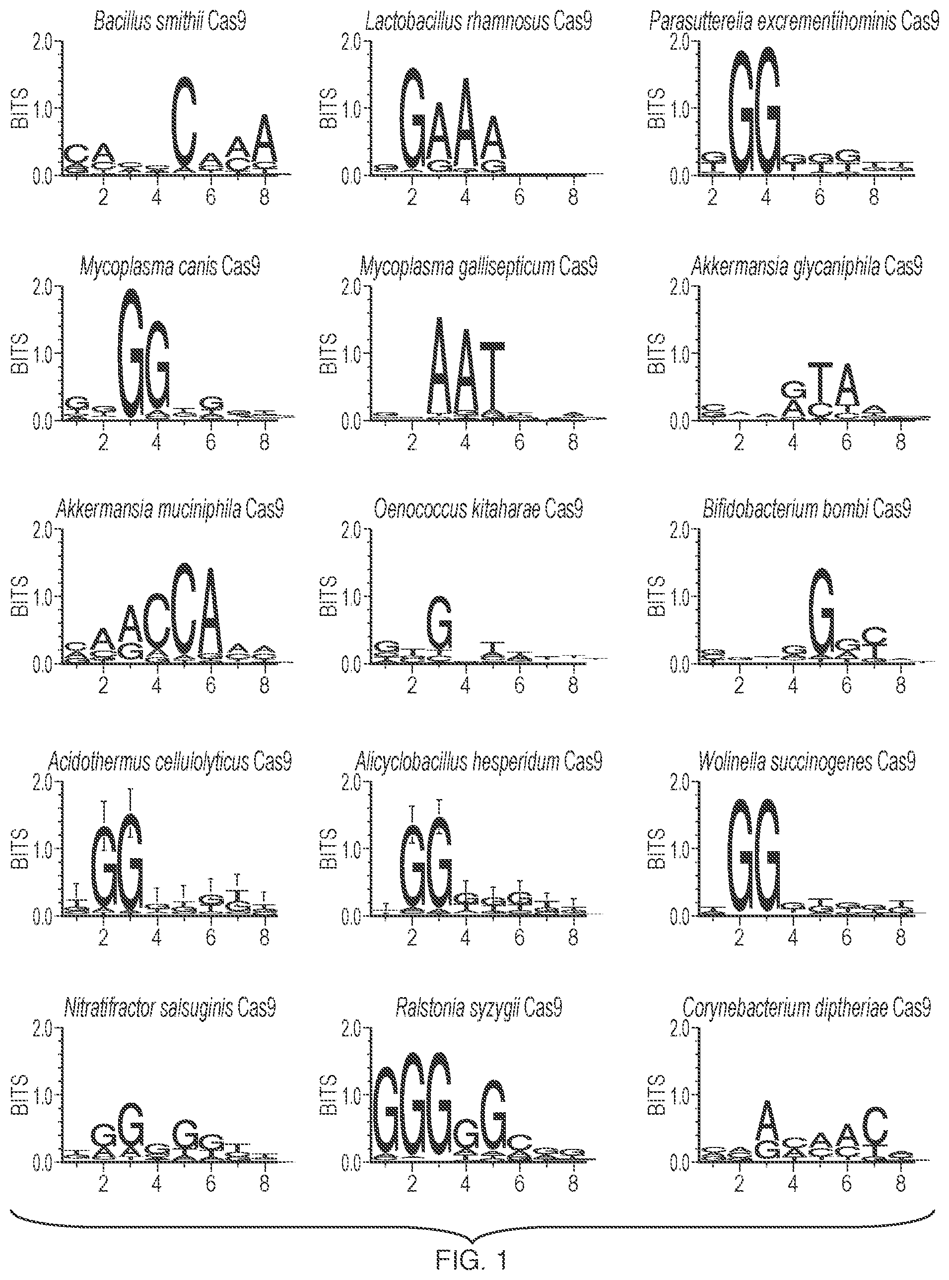 Patent US12297449 Figure 1 – Engineered CAS9 systems for eukaryotic genome modification