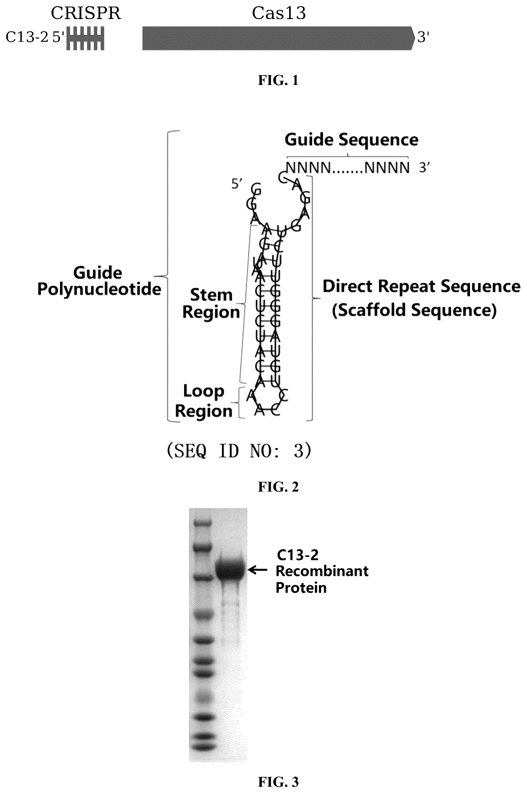 Patent US12297450 Figure 1 – CRISPR-Cas13 system and use thereof