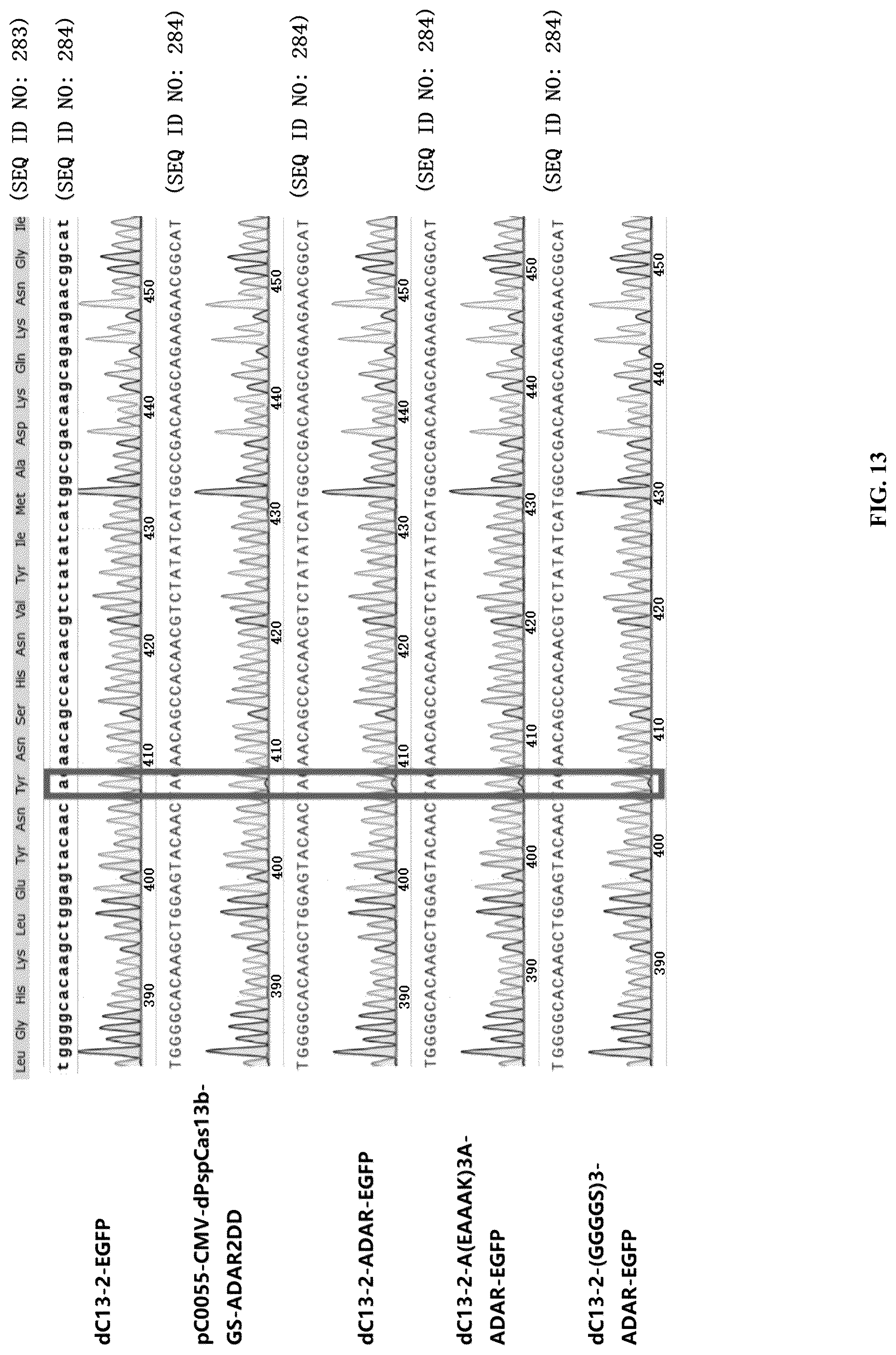 Patent US12297450 Figure 6 – CRISPR-Cas13 system and use thereof