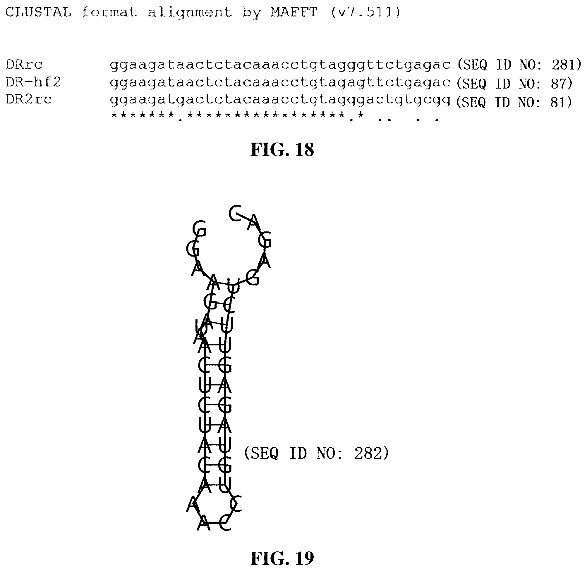 Patent US12297450 Figure 11 – CRISPR-Cas13 system and use thereof