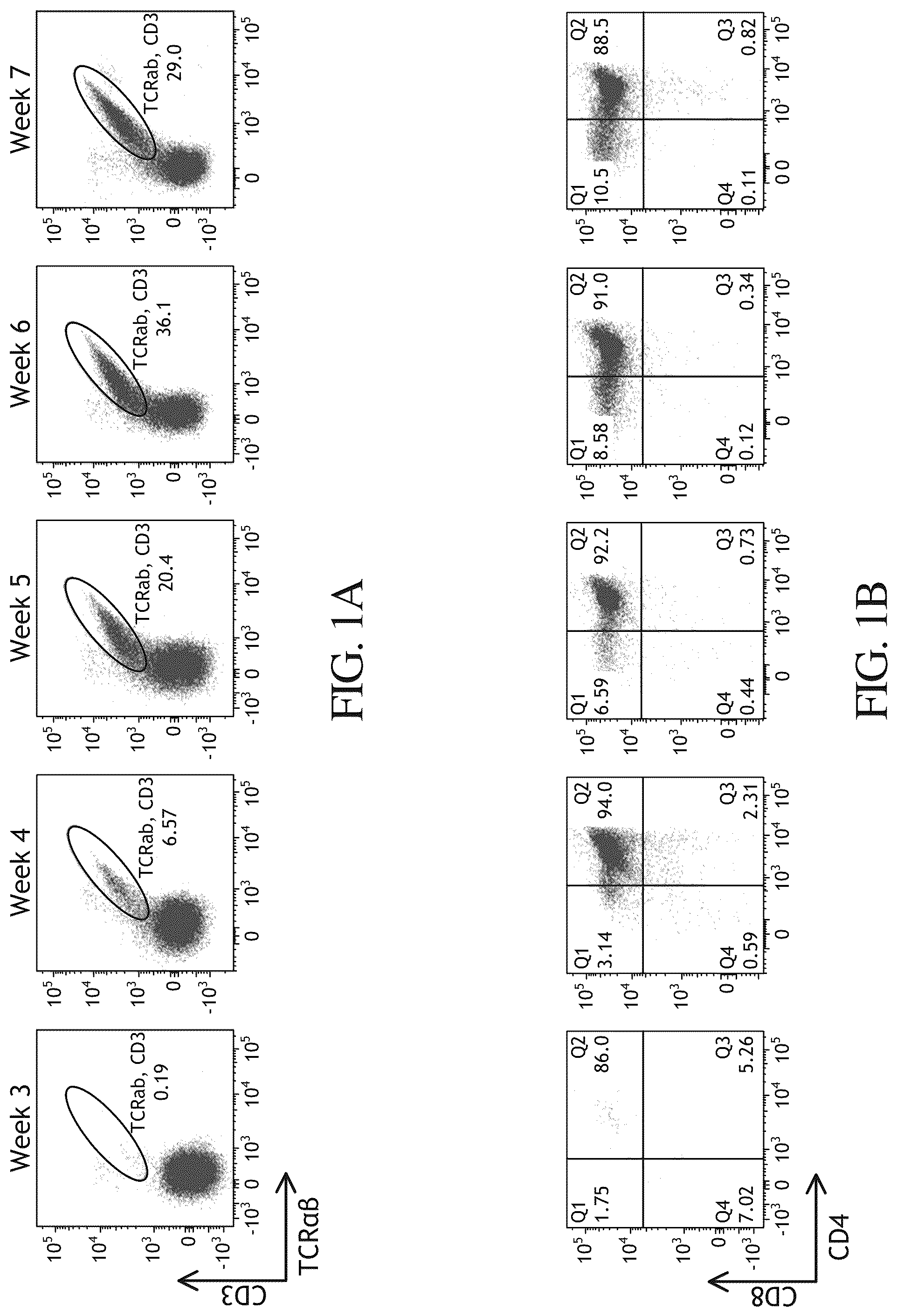 Patent US12297452 Figure 1 – Methods or generating T-cells from stem cells and immunotherapeutic methods using the T-cells