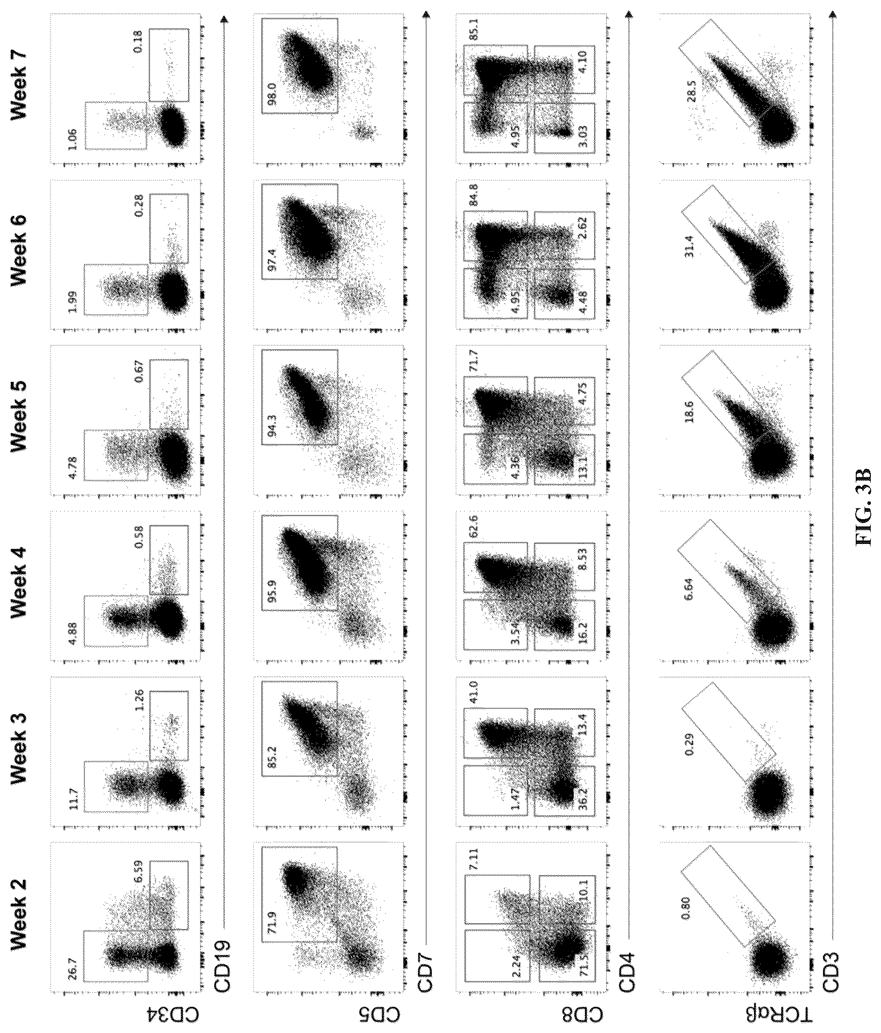 Patent US12297452 Figure 4 – Methods or generating T-cells from stem cells and immunotherapeutic methods using the T-cells