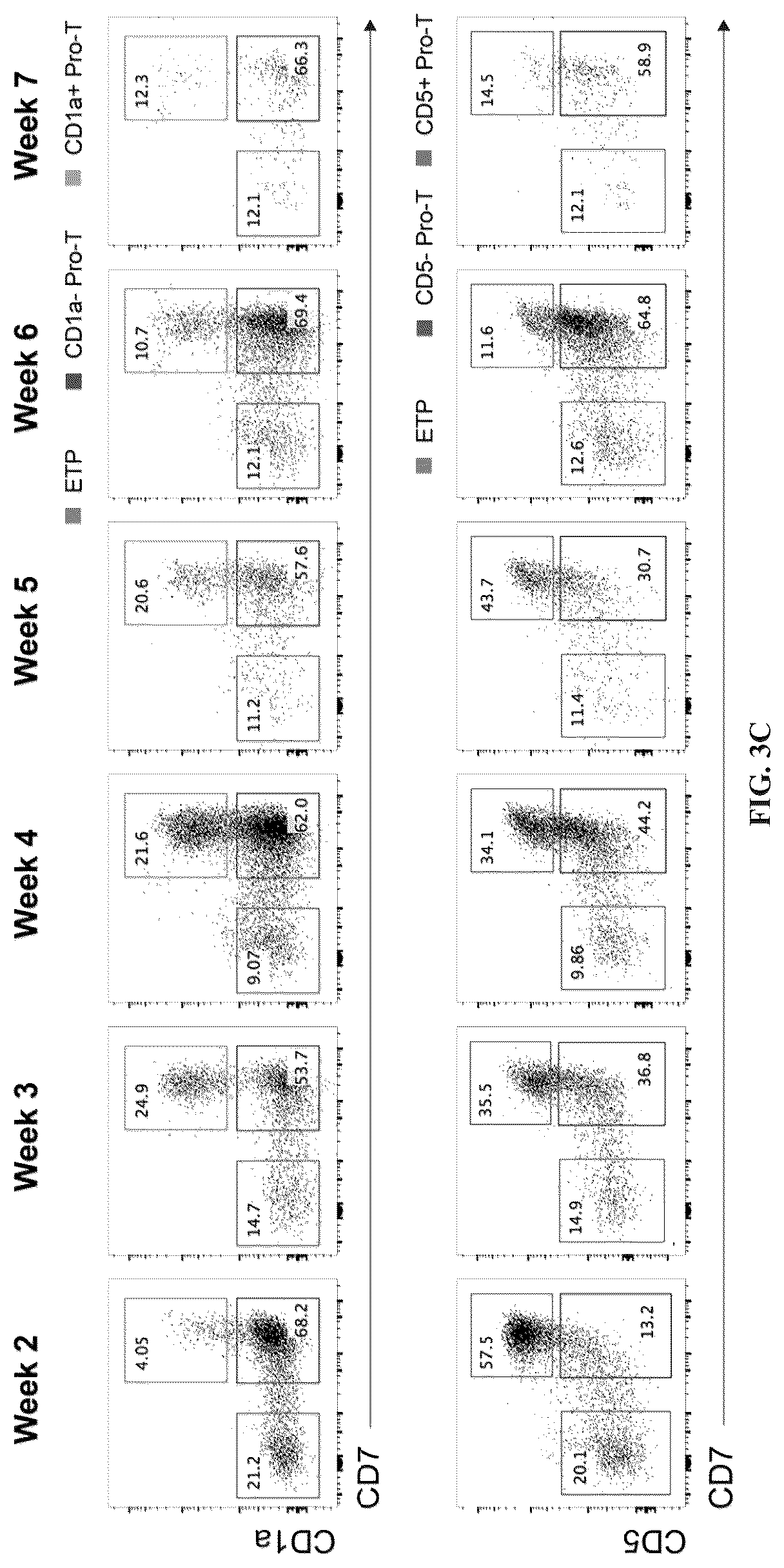 Patent US12297452 Figure 5 – Methods or generating T-cells from stem cells and immunotherapeutic methods using the T-cells