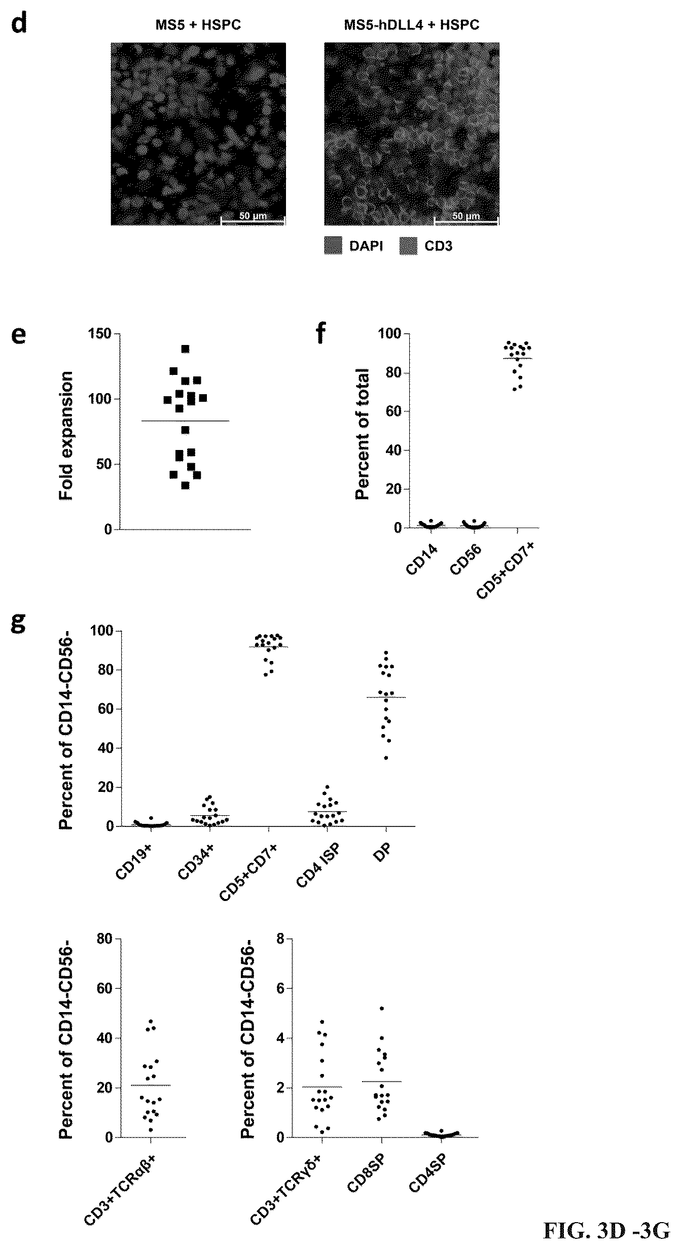 Patent US12297452 Figure 6 – Methods or generating T-cells from stem cells and immunotherapeutic methods using the T-cells