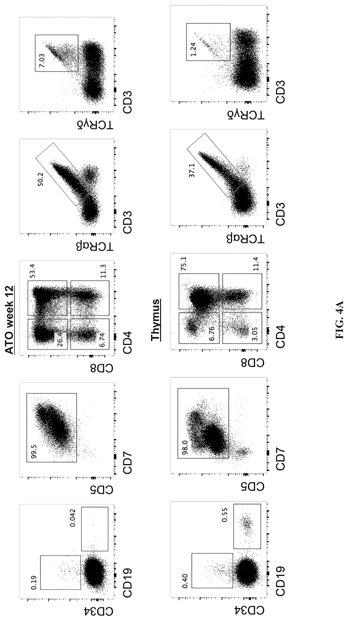 Patent US12297452 Figure 7 – Methods or generating T-cells from stem cells and immunotherapeutic methods using the T-cells