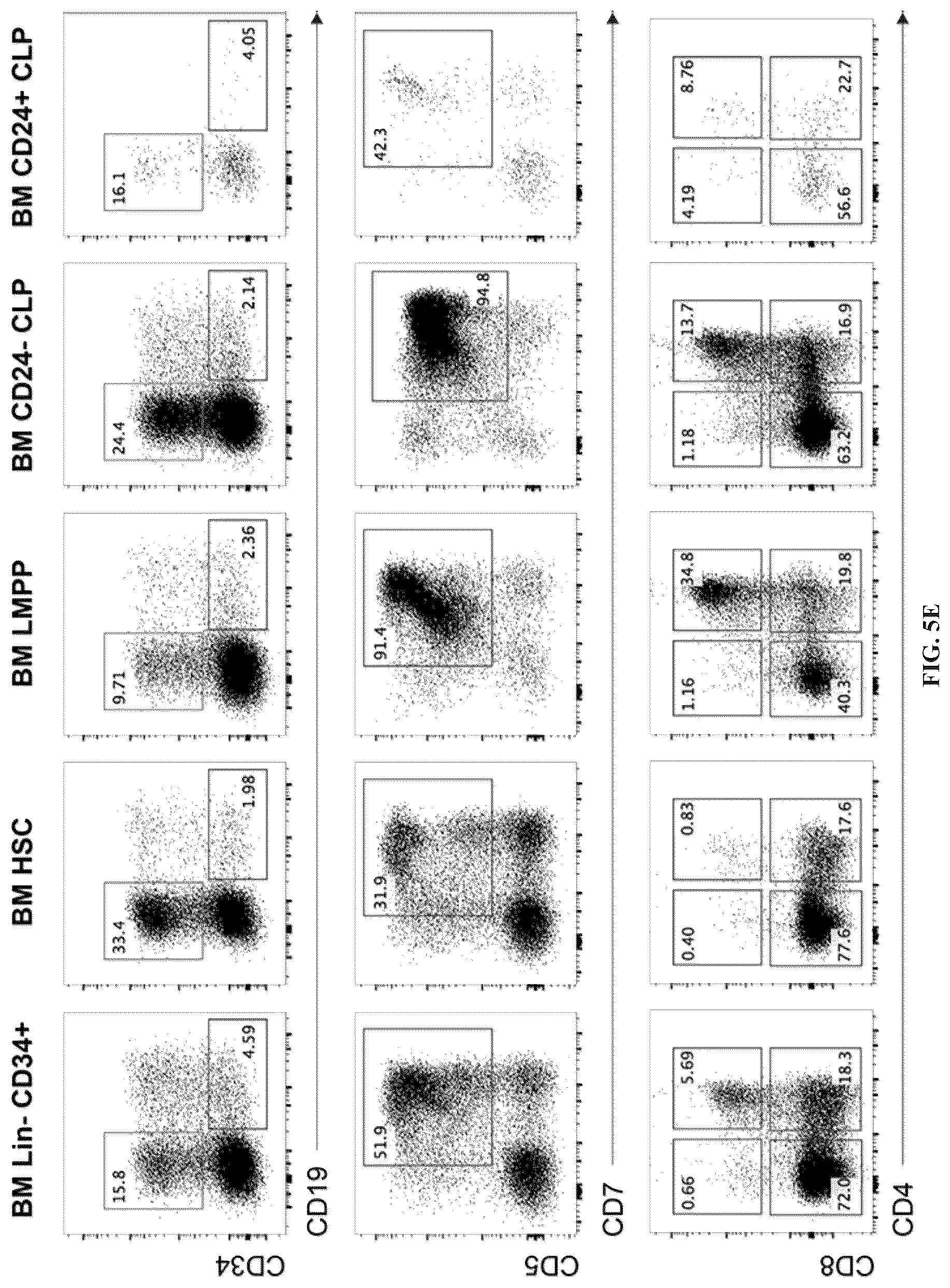 Patent US12297452 Figure 12 – Methods or generating T-cells from stem cells and immunotherapeutic methods using the T-cells