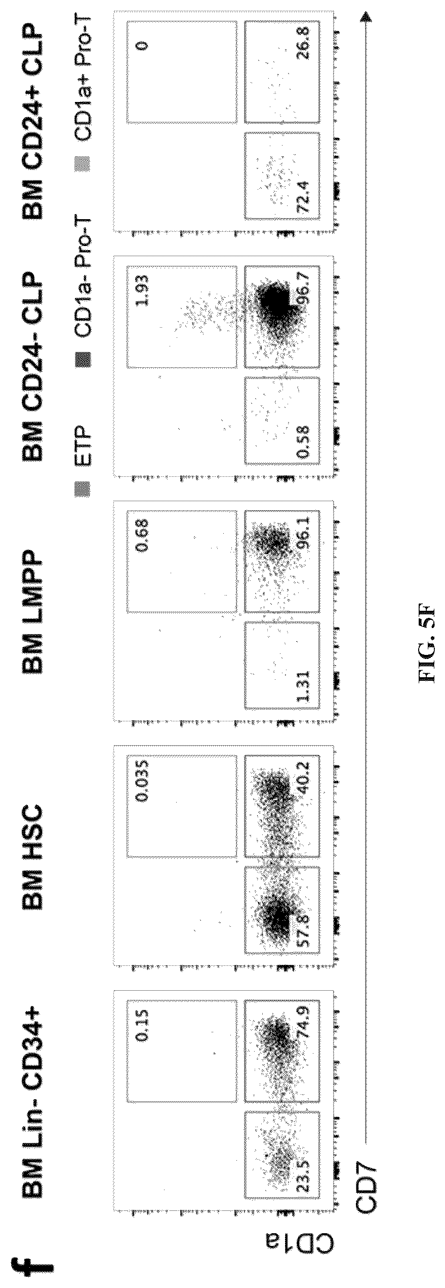 Patent US12297452 Figure 13 – Methods or generating T-cells from stem cells and immunotherapeutic methods using the T-cells