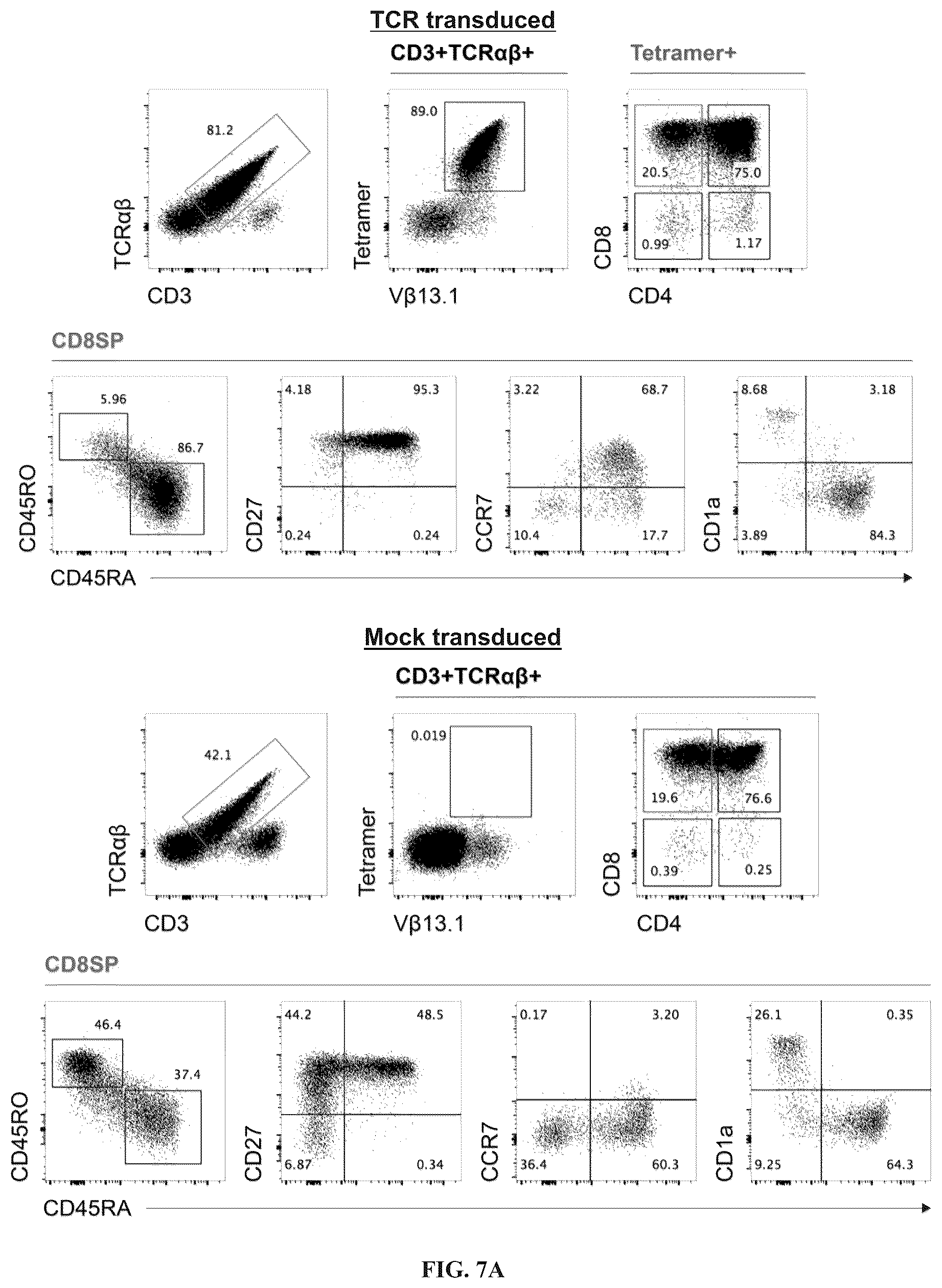Patent US12297452 Figure 17 – Methods or generating T-cells from stem cells and immunotherapeutic methods using the T-cells