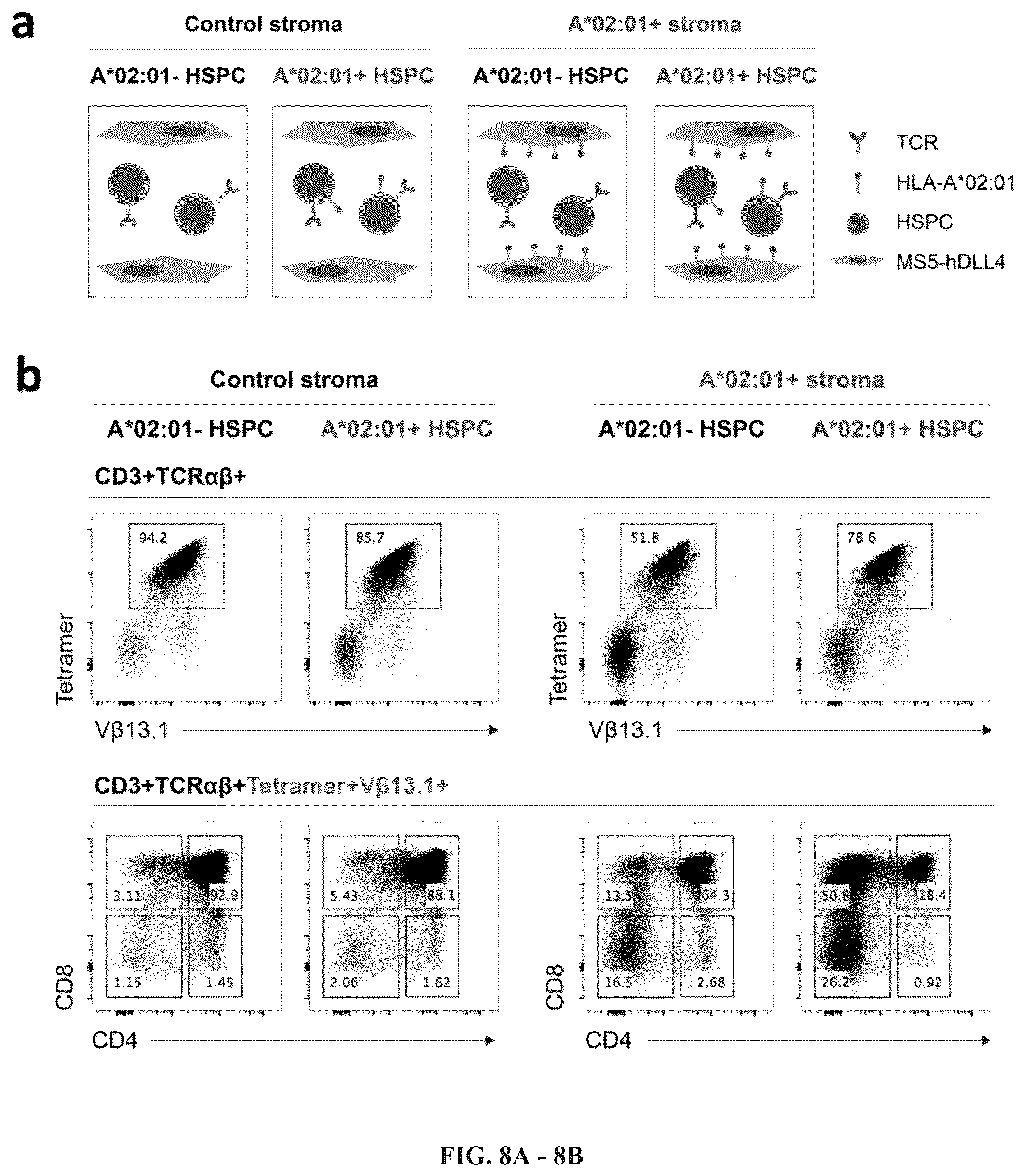 Patent US12297452 Figure 20 – Methods or generating T-cells from stem cells and immunotherapeutic methods using the T-cells
