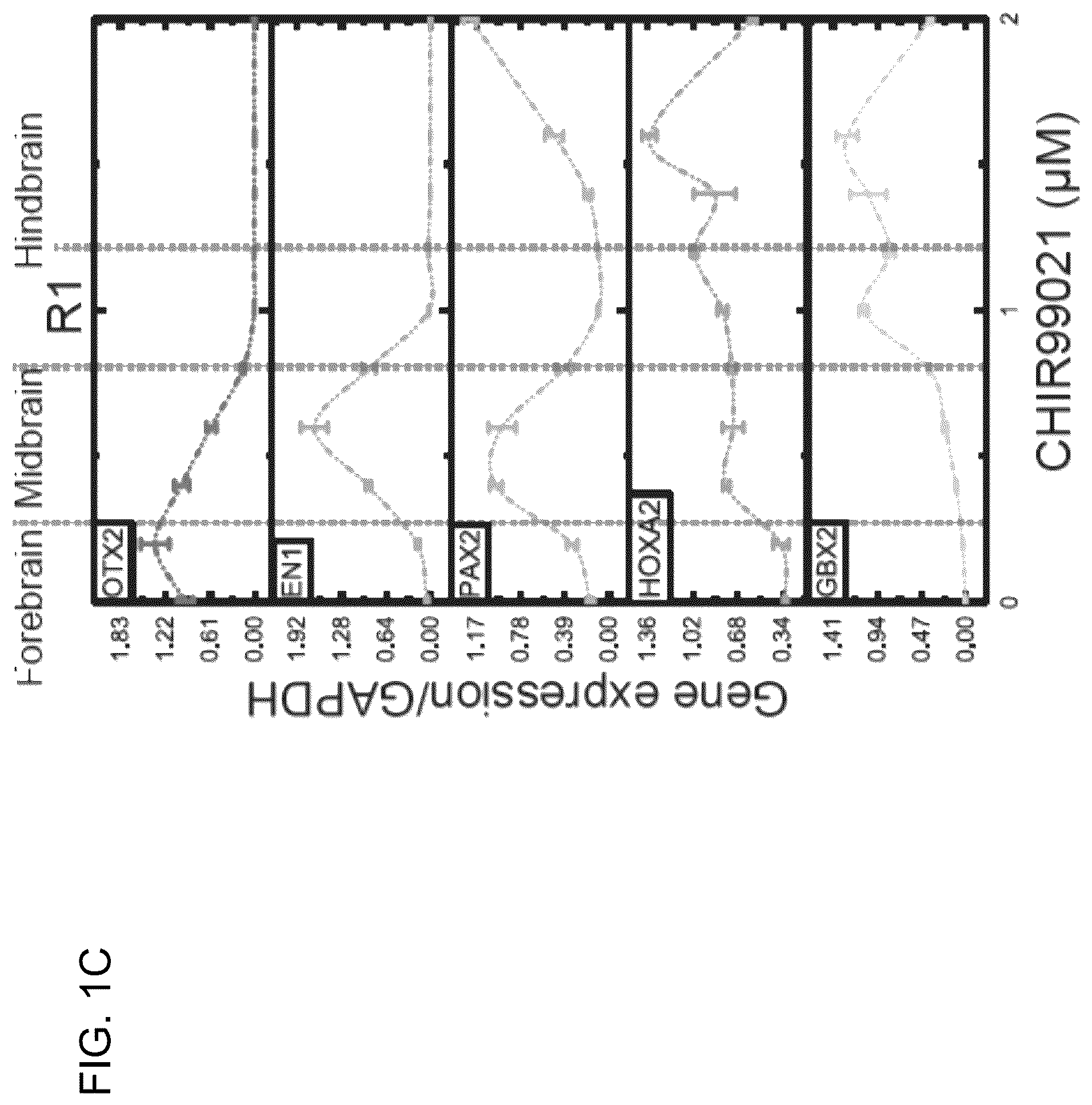 Patent US12297453 Figure 2 – Generation of norepinephrine neurons from human stem cells