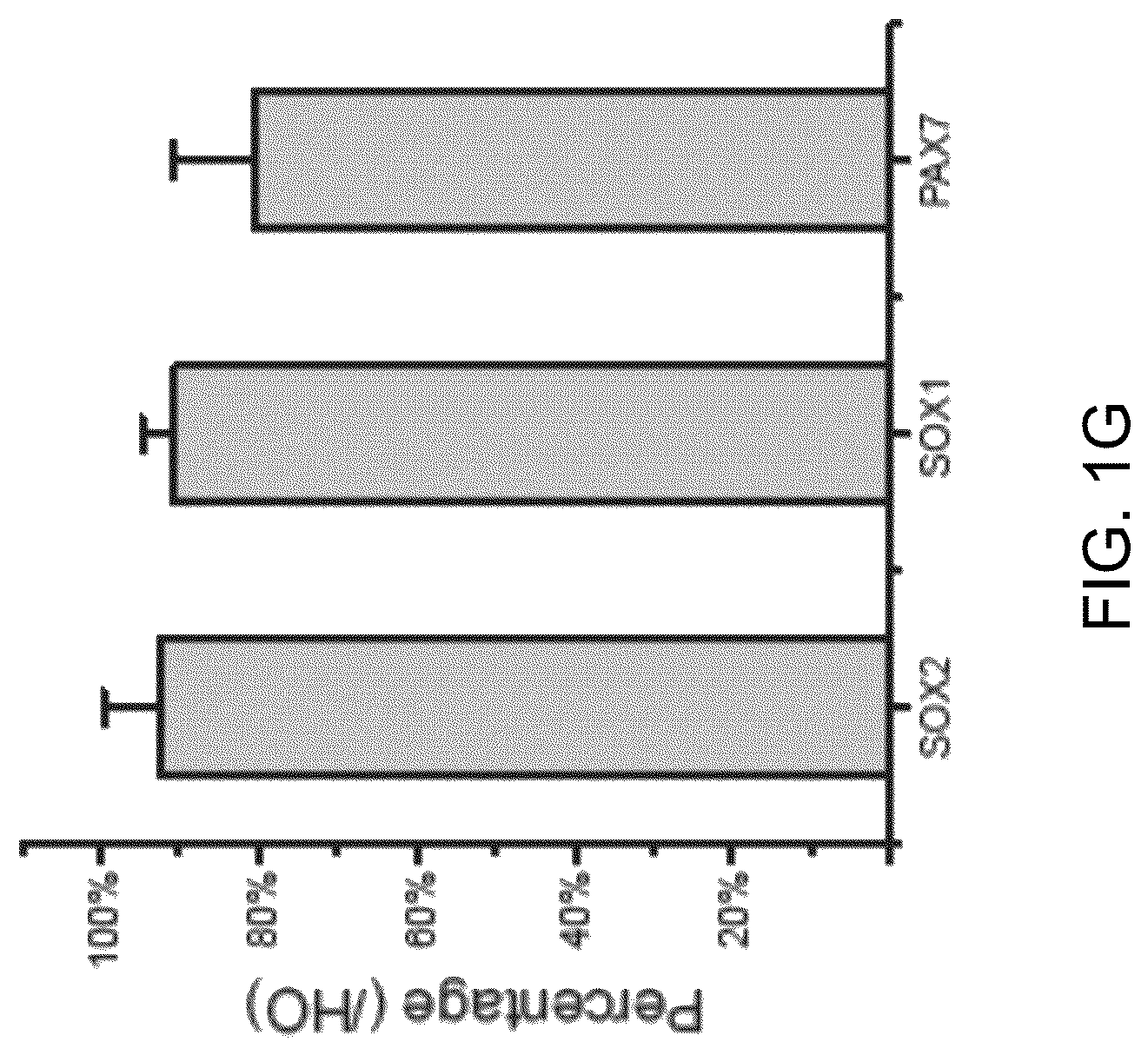 Patent US12297453 Figure 6 – Generation of norepinephrine neurons from human stem cells