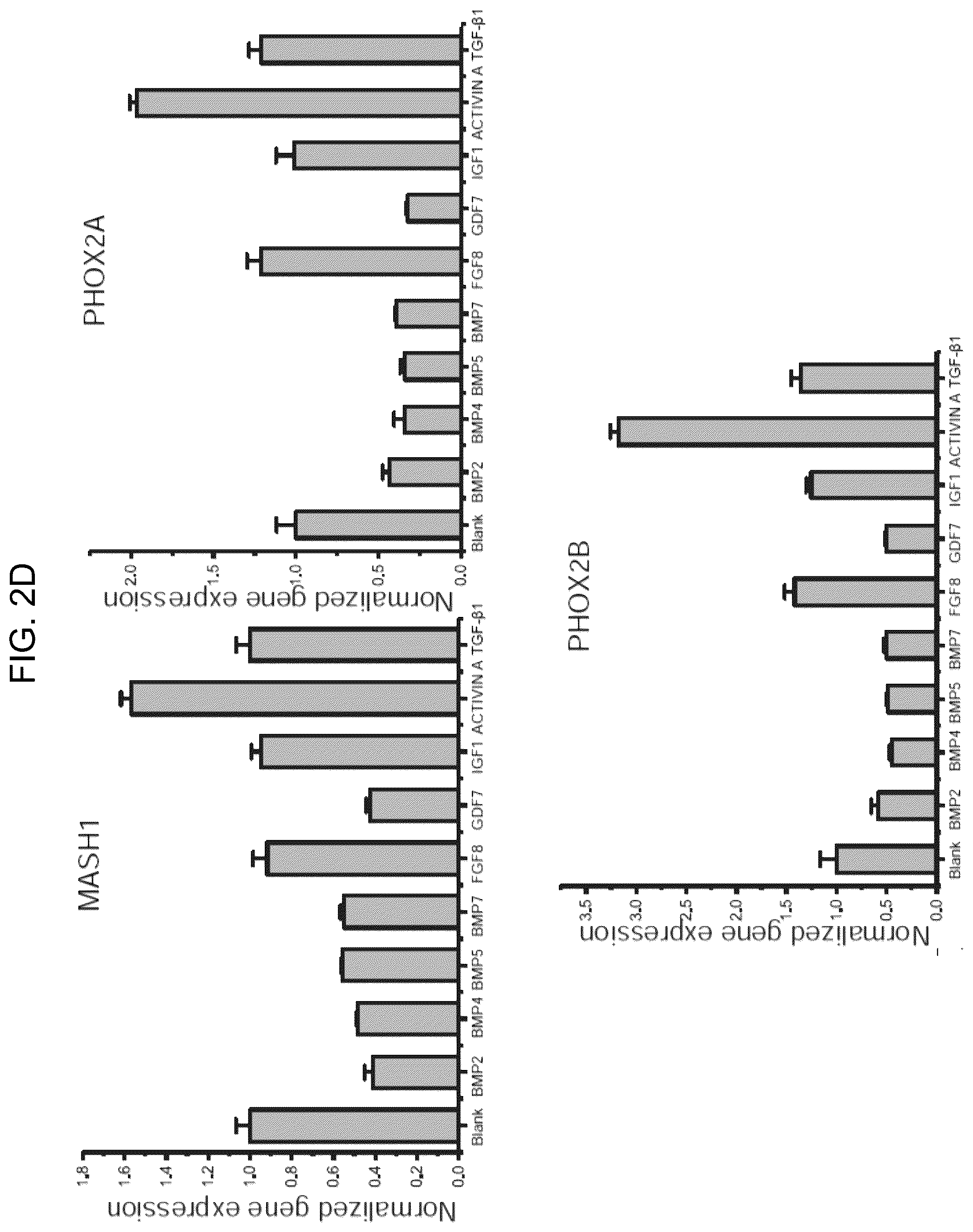 Patent US12297453 Figure 8 – Generation of norepinephrine neurons from human stem cells