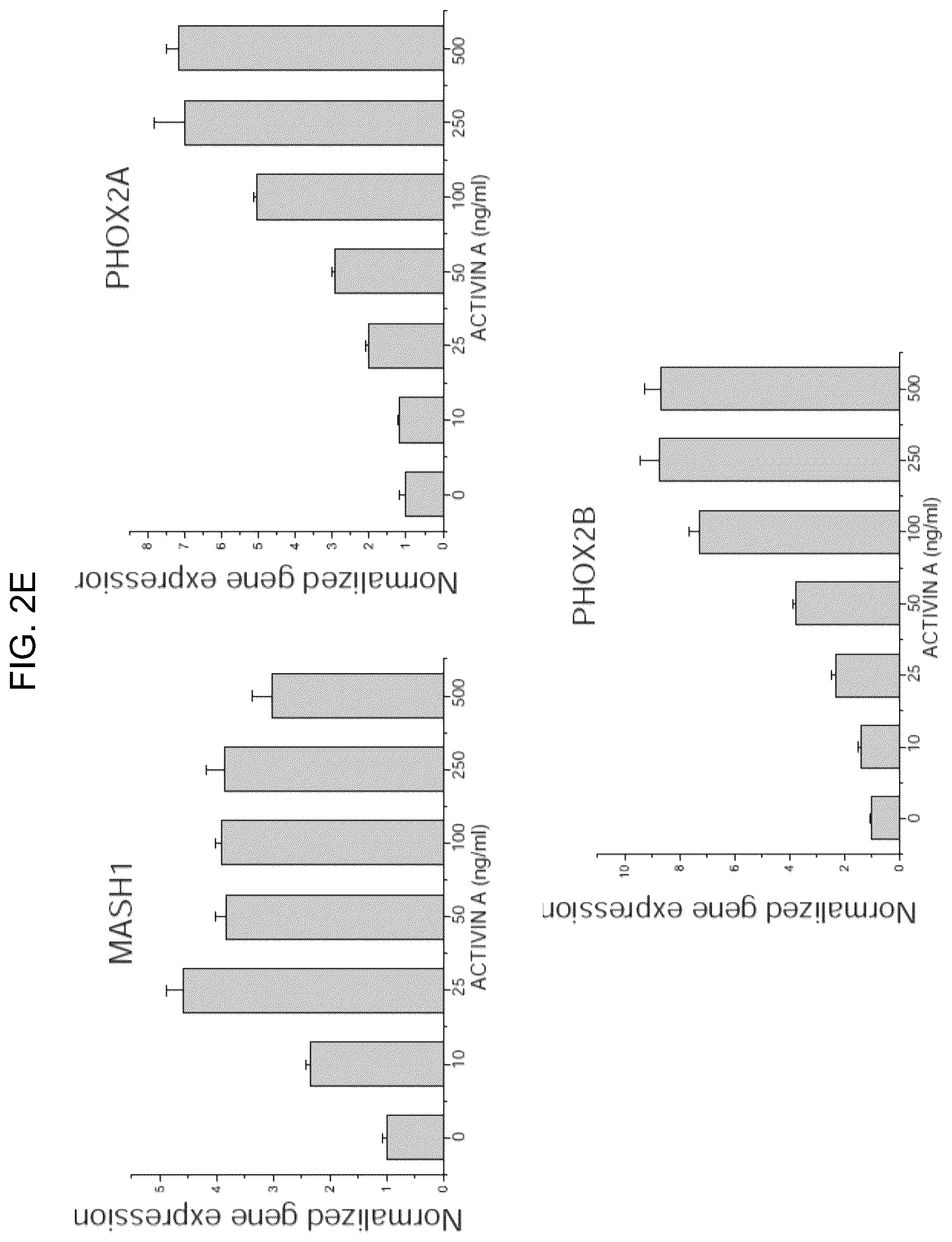 Patent US12297453 Figure 9 – Generation of norepinephrine neurons from human stem cells