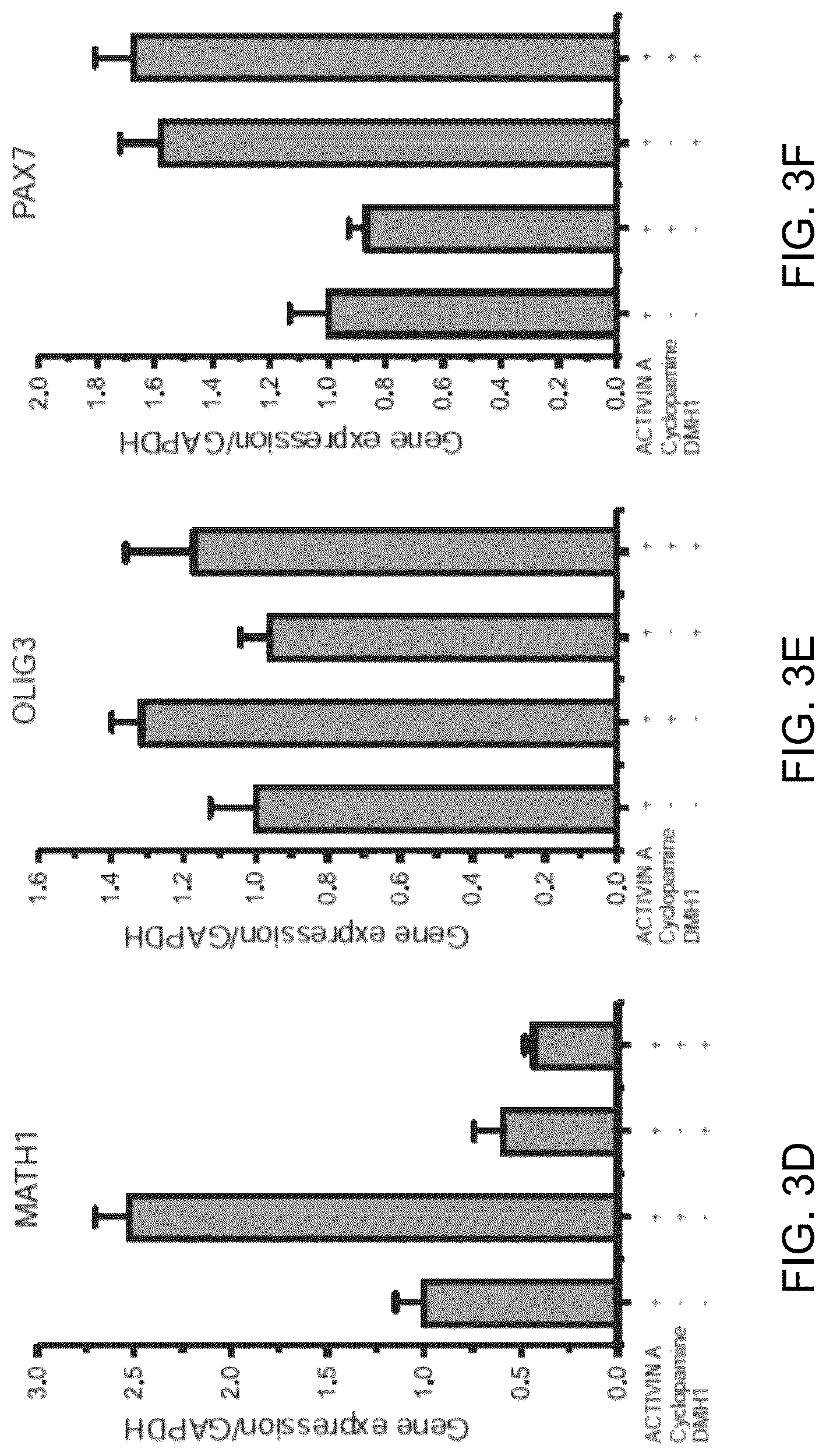 Patent US12297453 Figure 12 – Generation of norepinephrine neurons from human stem cells