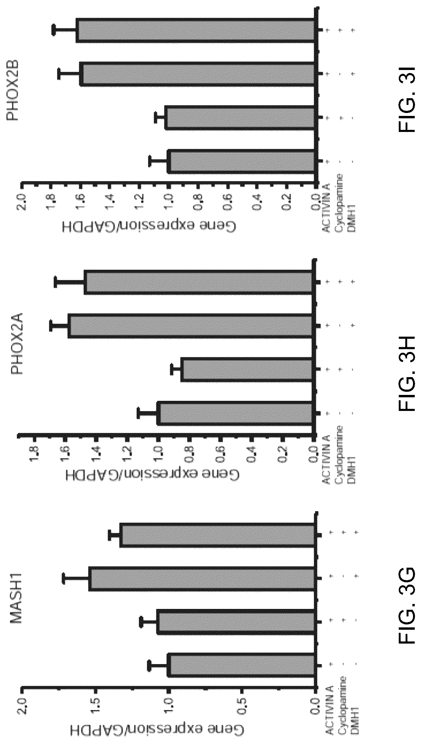 Patent US12297453 Figure 13 – Generation of norepinephrine neurons from human stem cells