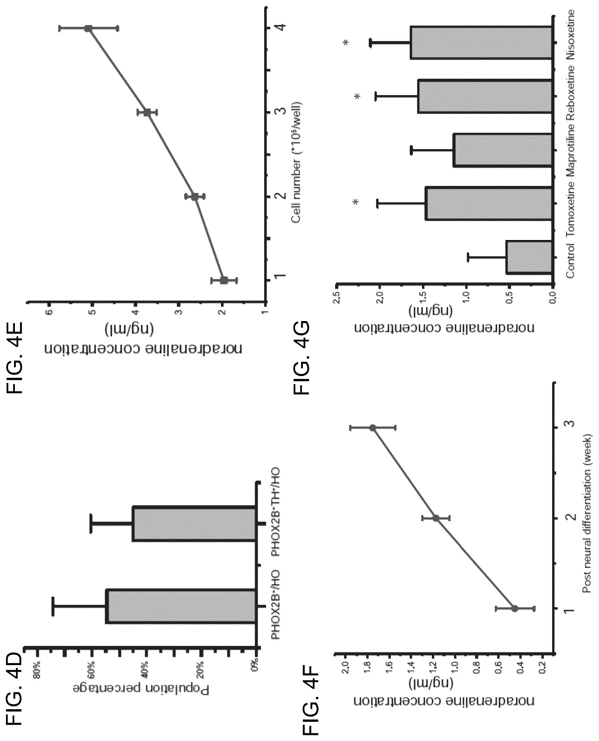 Patent US12297453 Figure 16 – Generation of norepinephrine neurons from human stem cells
