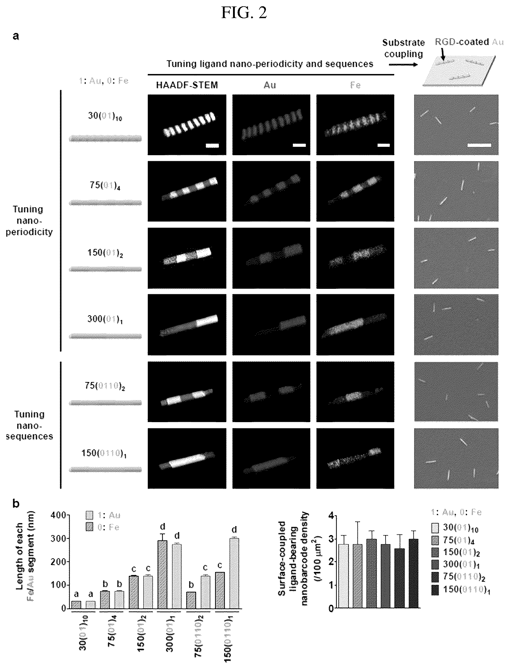 Patent US12297456 Figure 2 – Nanobarcode for controlling cell adhesion and differentiation of stem cells, preparation method thereof, and method of controlling adhesion and differentiation of stem cells by using the same