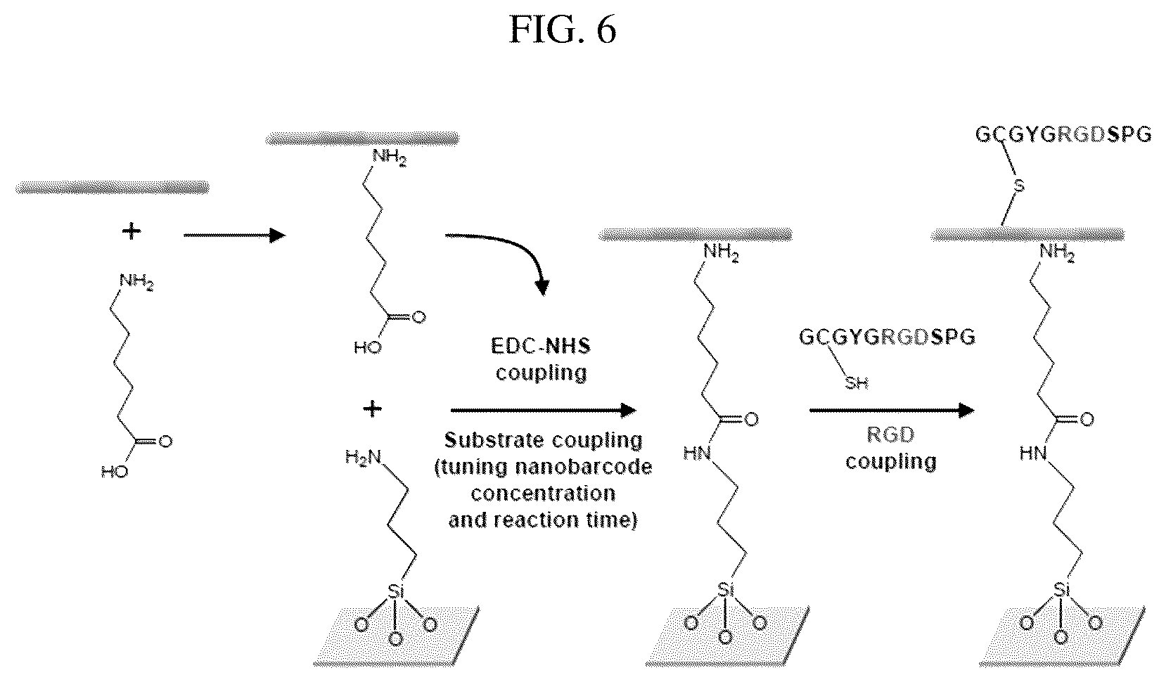 Patent US12297456 Figure 6 – Nanobarcode for controlling cell adhesion and differentiation of stem cells, preparation method thereof, and method of controlling adhesion and differentiation of stem cells by using the same