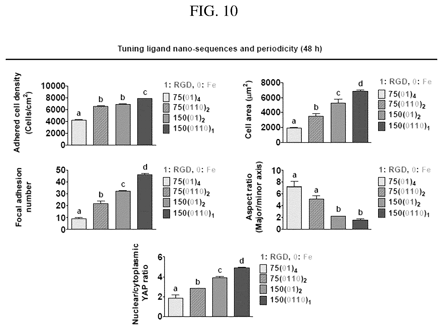 Patent US12297456 Figure 10 – Nanobarcode for controlling cell adhesion and differentiation of stem cells, preparation method thereof, and method of controlling adhesion and differentiation of stem cells by using the same
