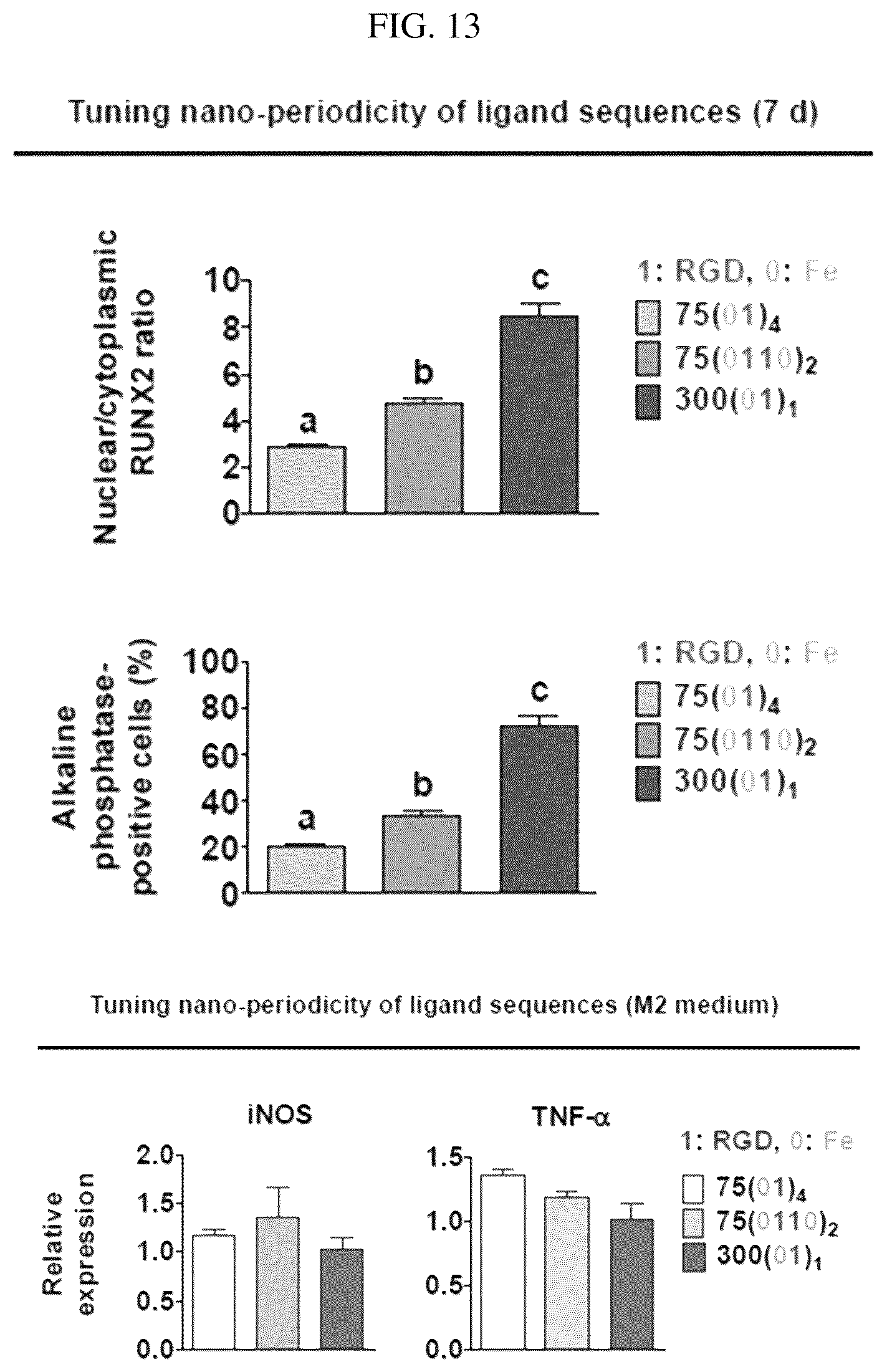Patent US12297456 Figure 13 – Nanobarcode for controlling cell adhesion and differentiation of stem cells, preparation method thereof, and method of controlling adhesion and differentiation of stem cells by using the same