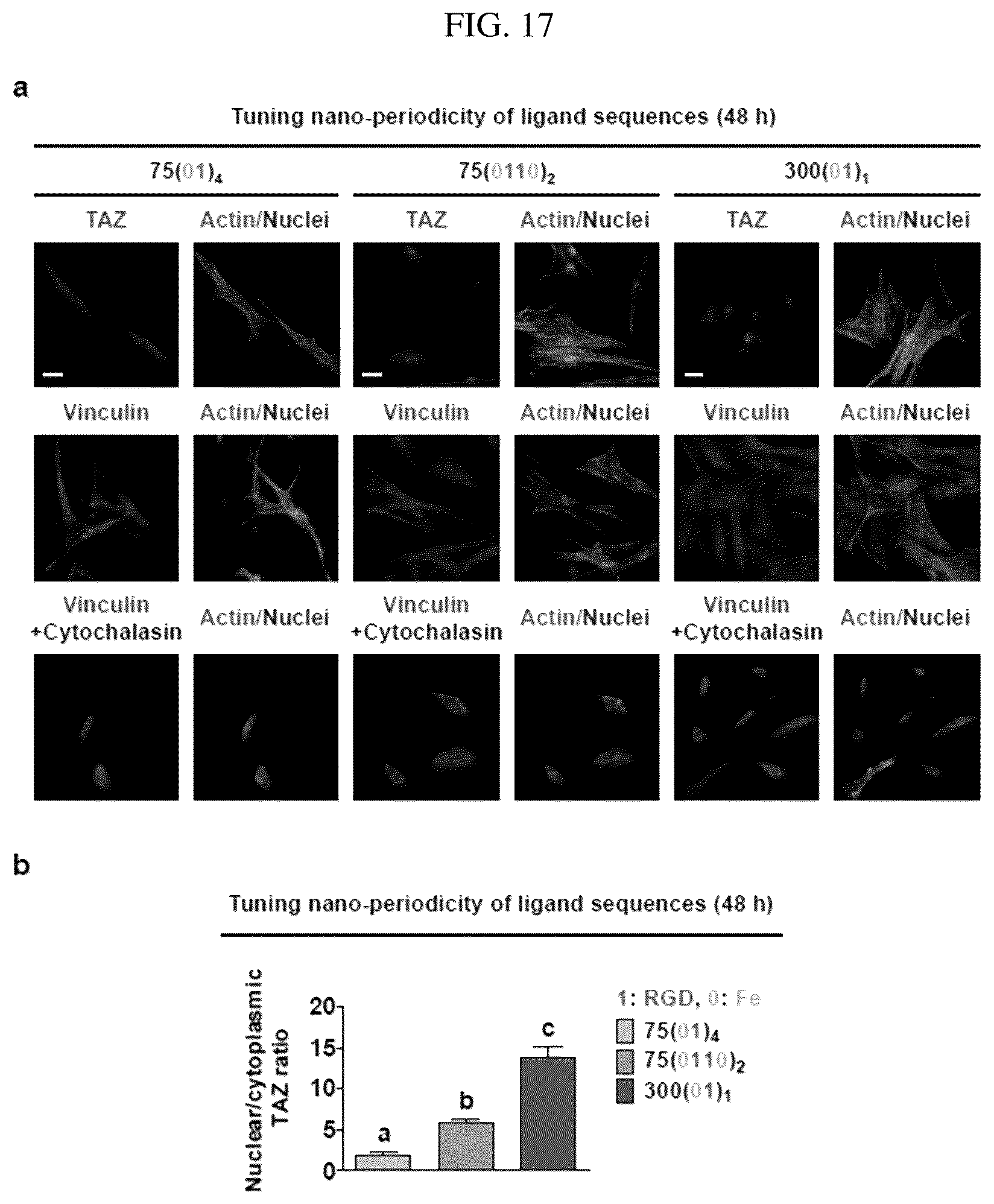 Patent US12297456 Figure 17 – Nanobarcode for controlling cell adhesion and differentiation of stem cells, preparation method thereof, and method of controlling adhesion and differentiation of stem cells by using the same