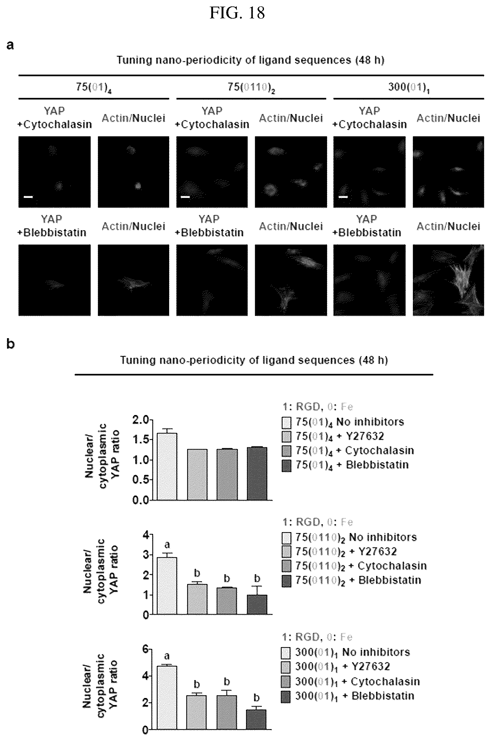 Patent US12297456 Figure 18 – Nanobarcode for controlling cell adhesion and differentiation of stem cells, preparation method thereof, and method of controlling adhesion and differentiation of stem cells by using the same