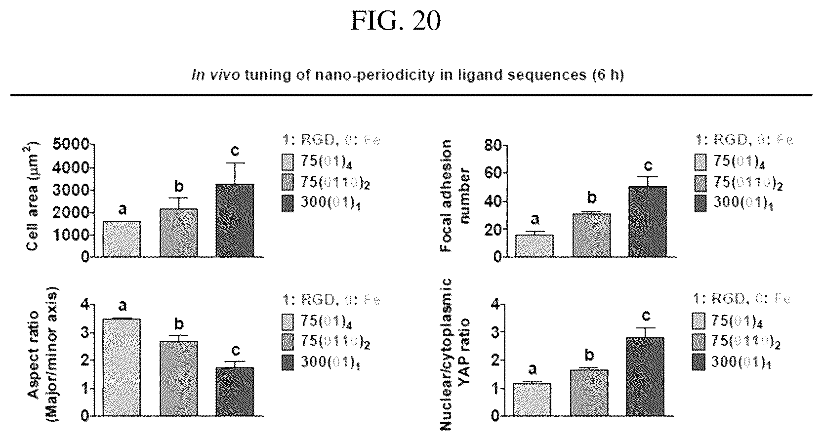 Patent US12297456 Figure 20 – Nanobarcode for controlling cell adhesion and differentiation of stem cells, preparation method thereof, and method of controlling adhesion and differentiation of stem cells by using the same
