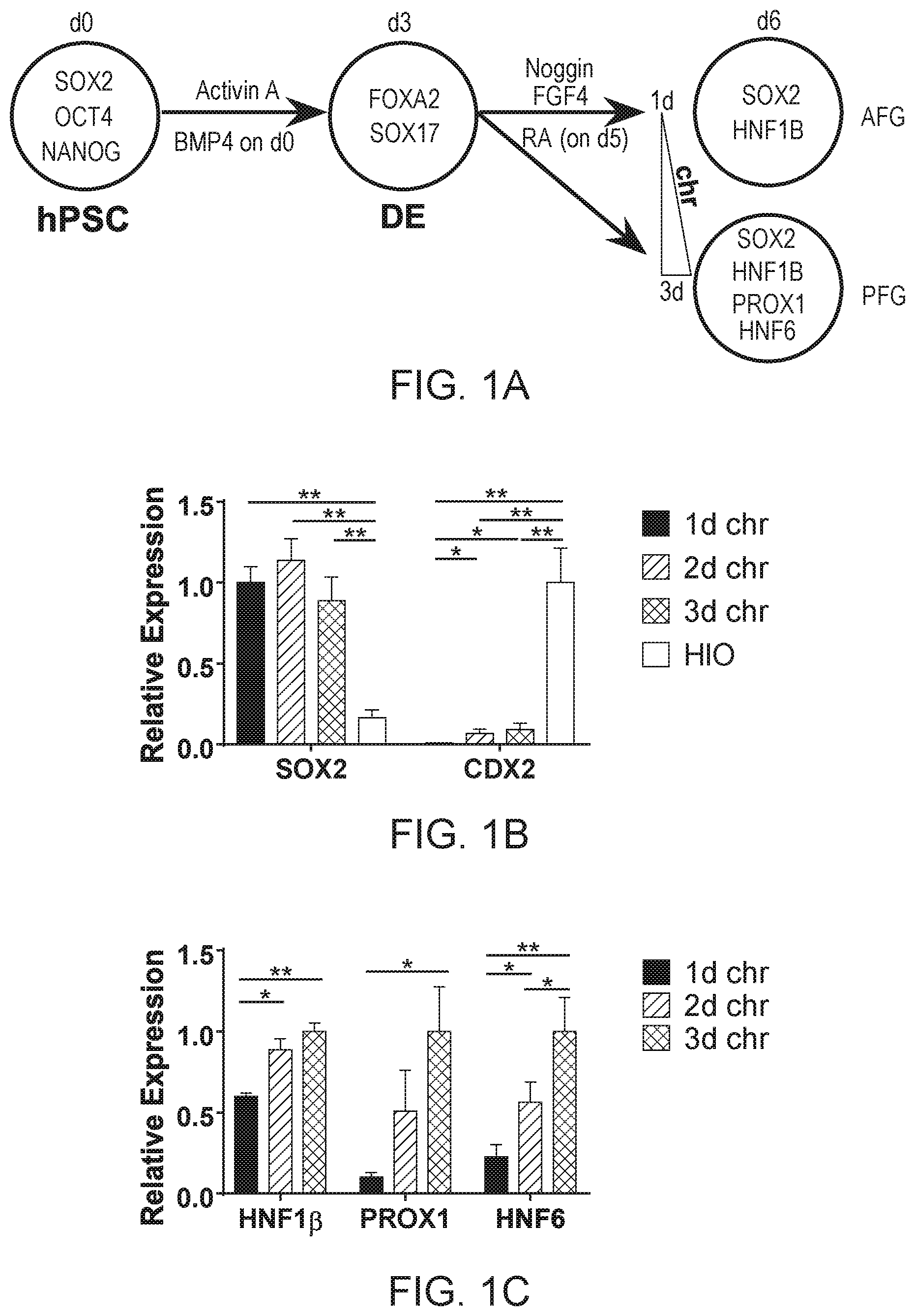 Patent US12297457 Figure 1 – Esophageal tissue and/or organoid compositions and methods of making same