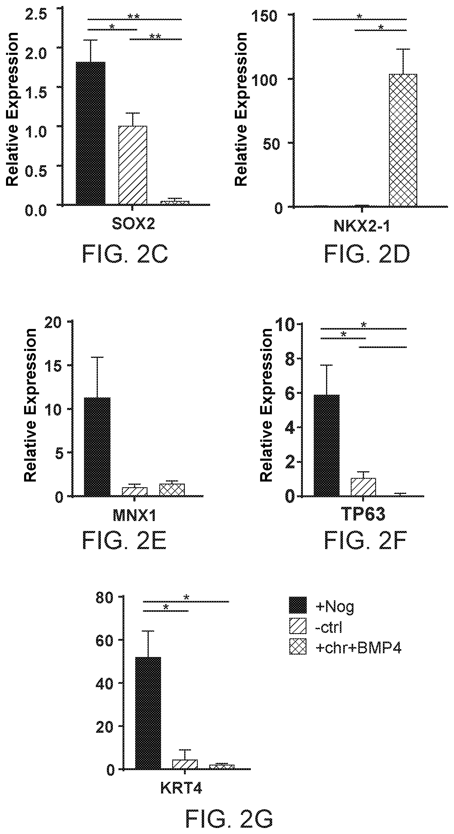 Patent US12297457 Figure 7 – Esophageal tissue and/or organoid compositions and methods of making same