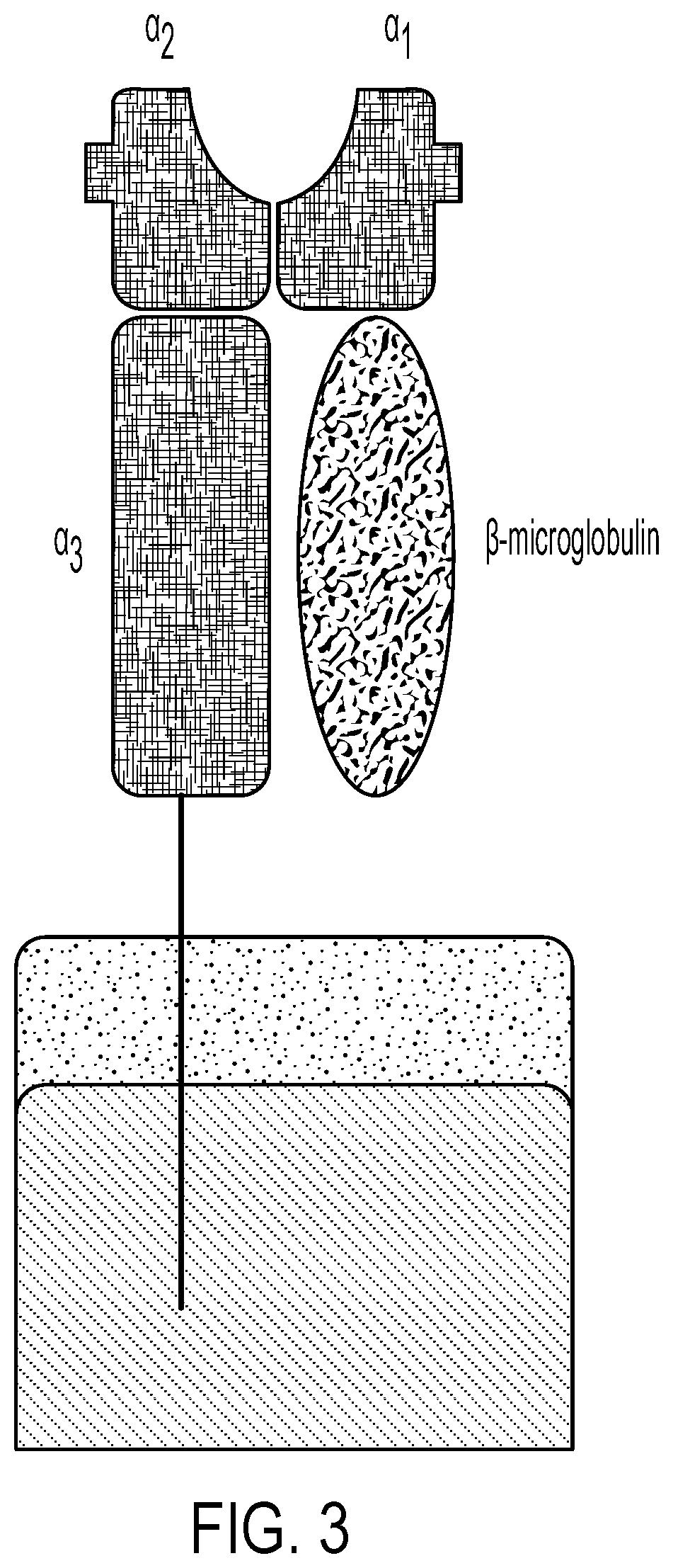 Patent US12297458 Figure 3 – Personalized cells, tissues, and organs for transplantation from a humanized, bespoke, designated-pathogen free, (non-human) donor and methods and products relating to same
