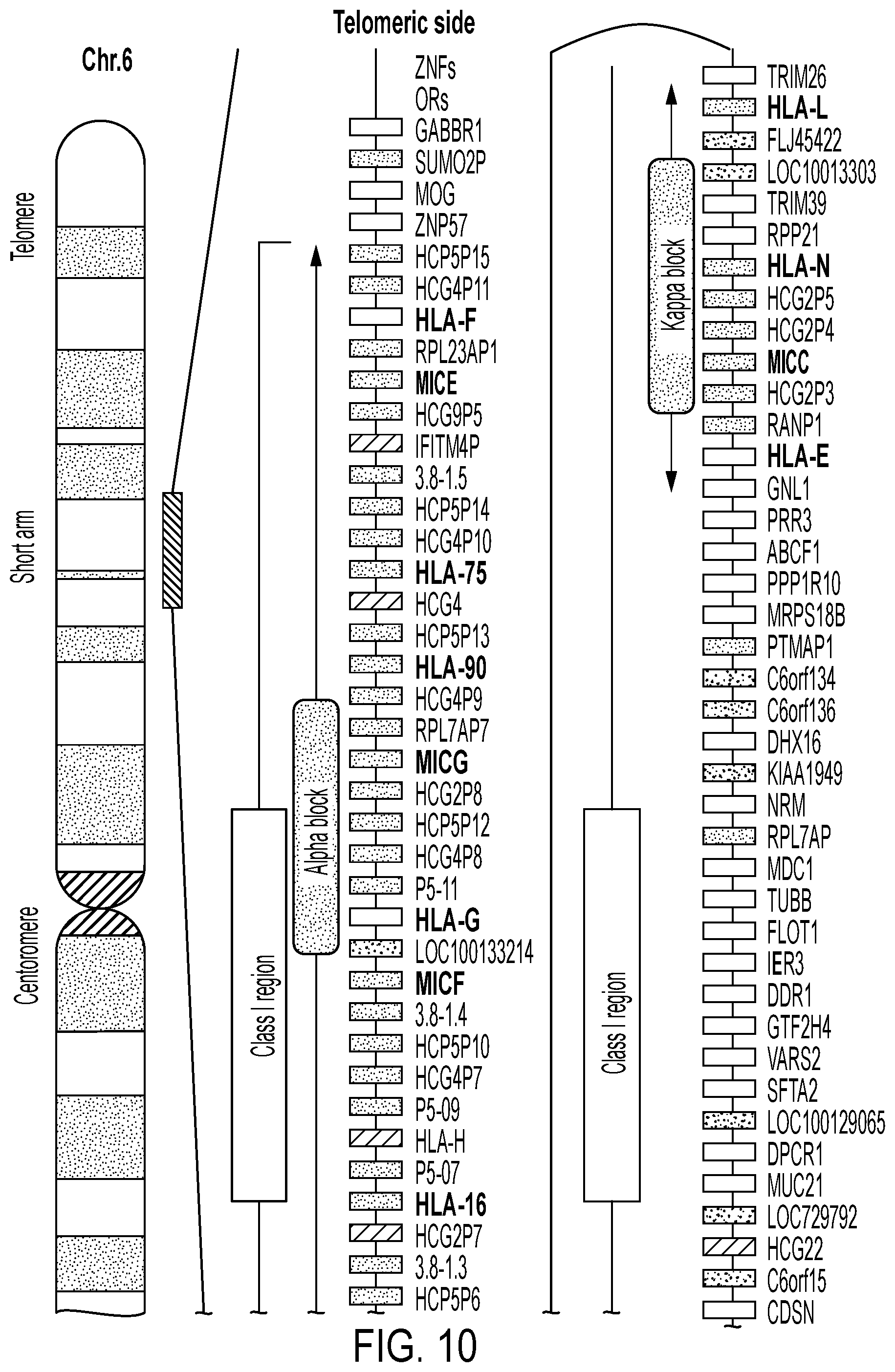 Patent US12297458 Figure 10 – Personalized cells, tissues, and organs for transplantation from a humanized, bespoke, designated-pathogen free, (non-human) donor and methods and products relating to same