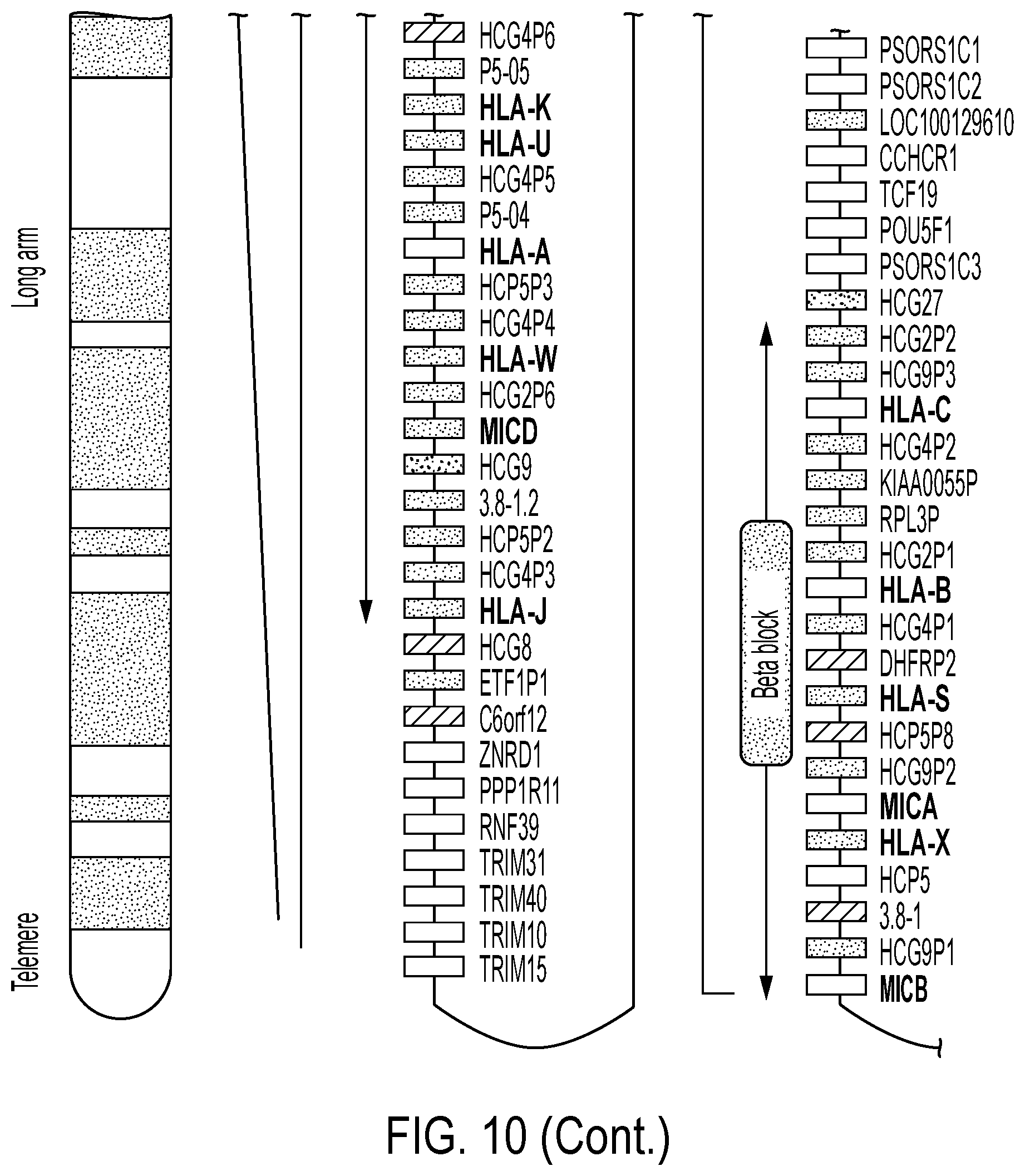 Patent US12297458 Figure 11 – Personalized cells, tissues, and organs for transplantation from a humanized, bespoke, designated-pathogen free, (non-human) donor and methods and products relating to same