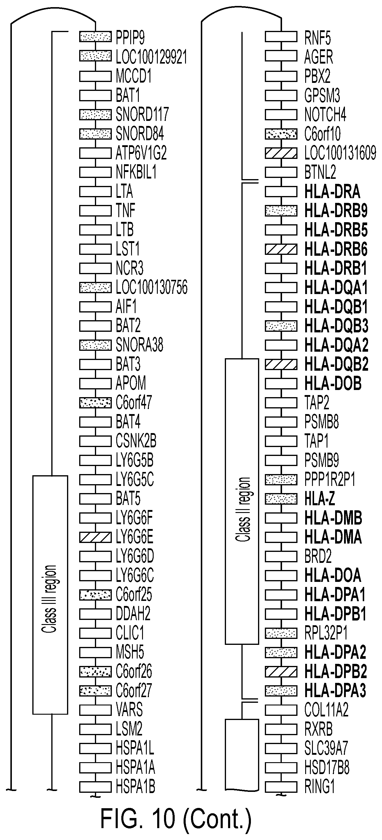 Patent US12297458 Figure 12 – Personalized cells, tissues, and organs for transplantation from a humanized, bespoke, designated-pathogen free, (non-human) donor and methods and products relating to same