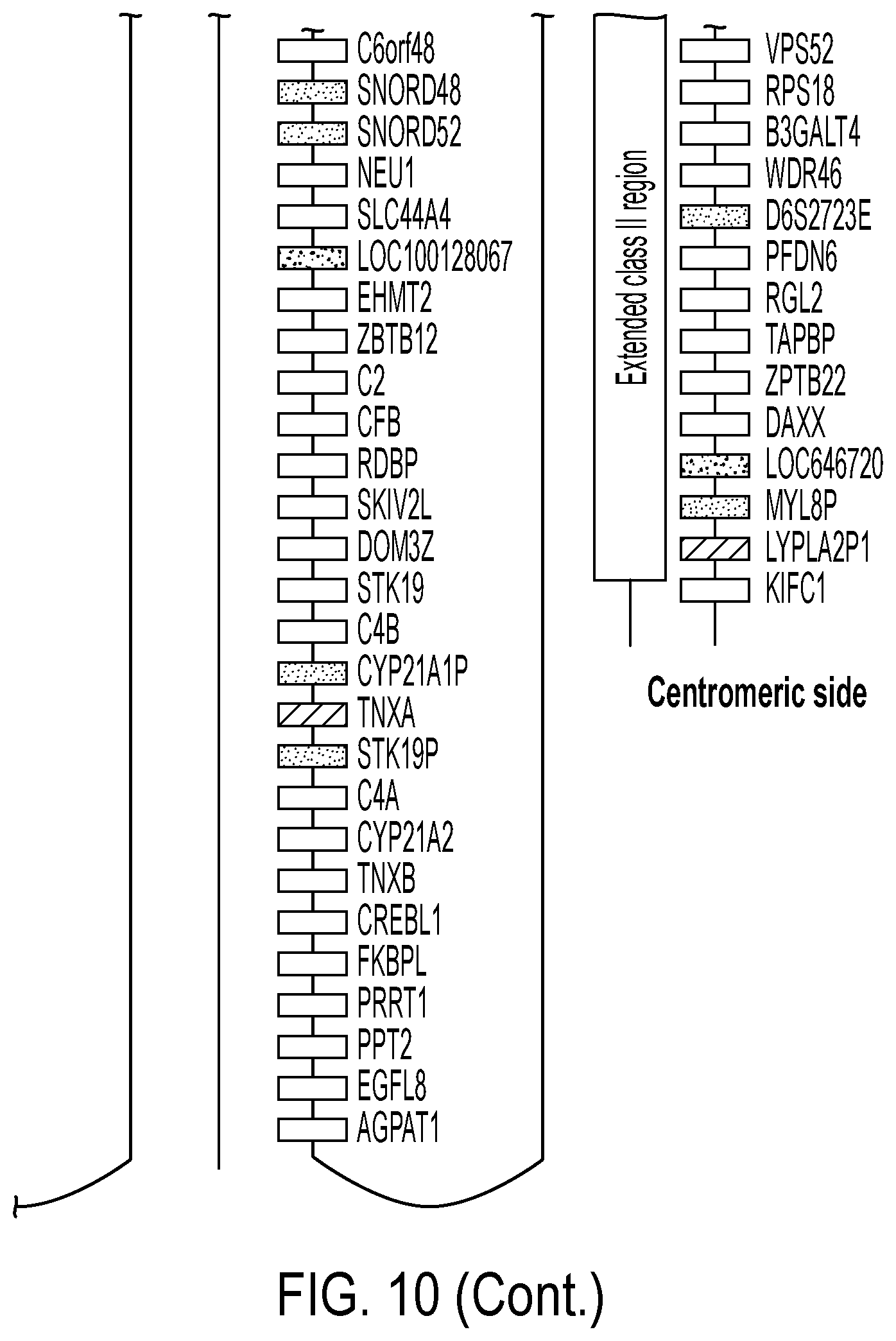 Patent US12297458 Figure 13 – Personalized cells, tissues, and organs for transplantation from a humanized, bespoke, designated-pathogen free, (non-human) donor and methods and products relating to same
