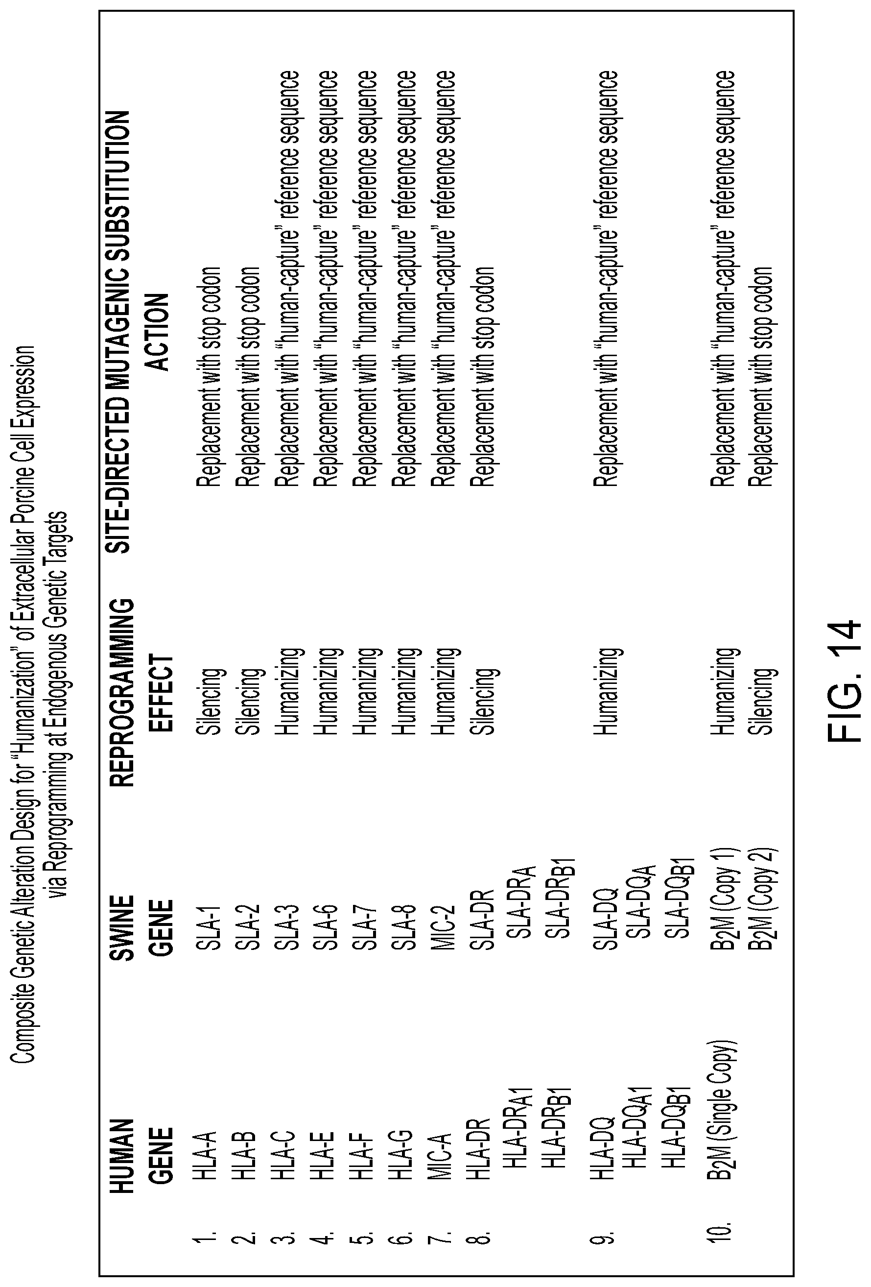 Patent US12297458 Figure 19 – Personalized cells, tissues, and organs for transplantation from a humanized, bespoke, designated-pathogen free, (non-human) donor and methods and products relating to same