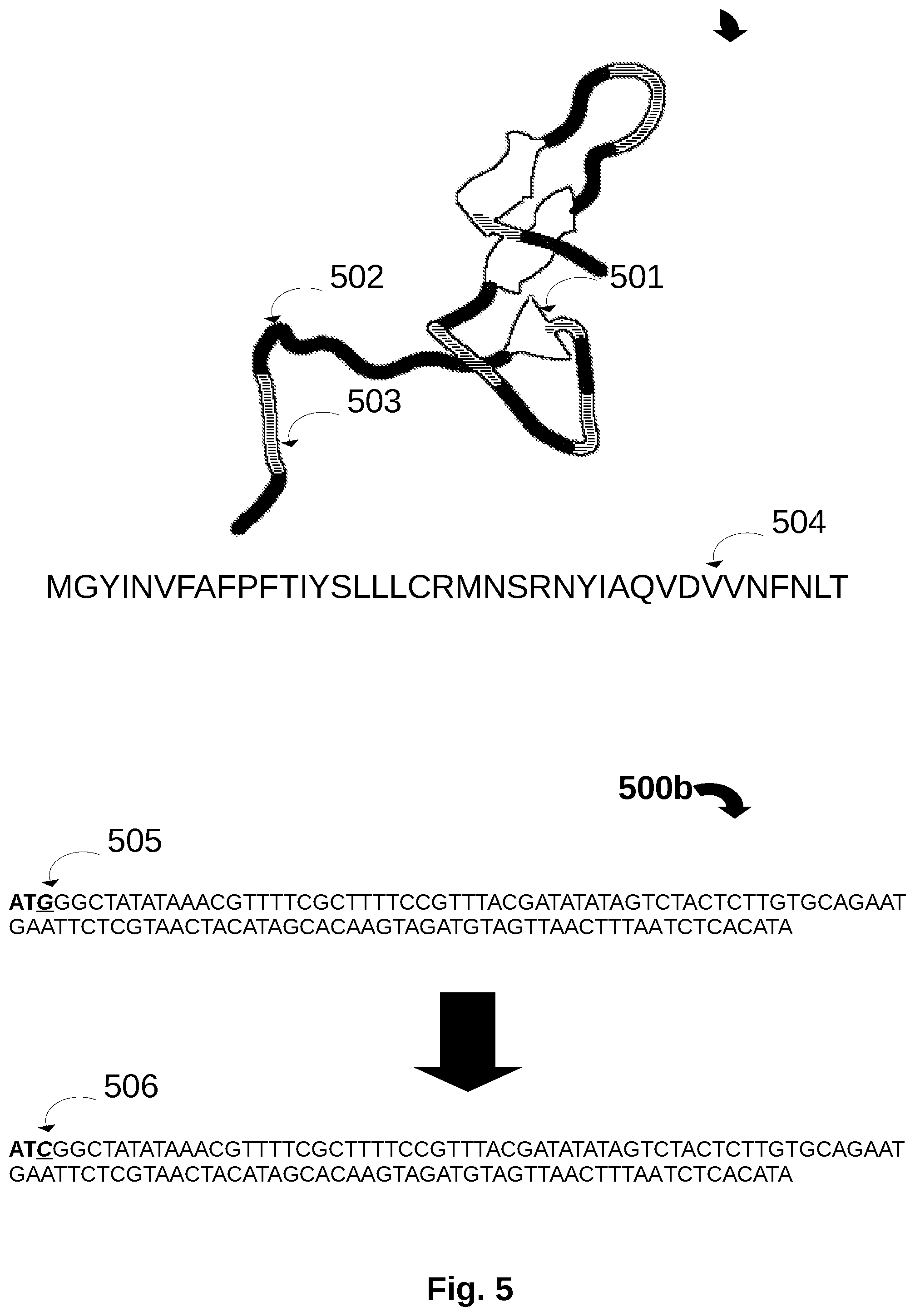Patent US12297460 Figure 5 – Viral preparations and methods for treating and modulating mitochondrial effects of coronavirus infections
