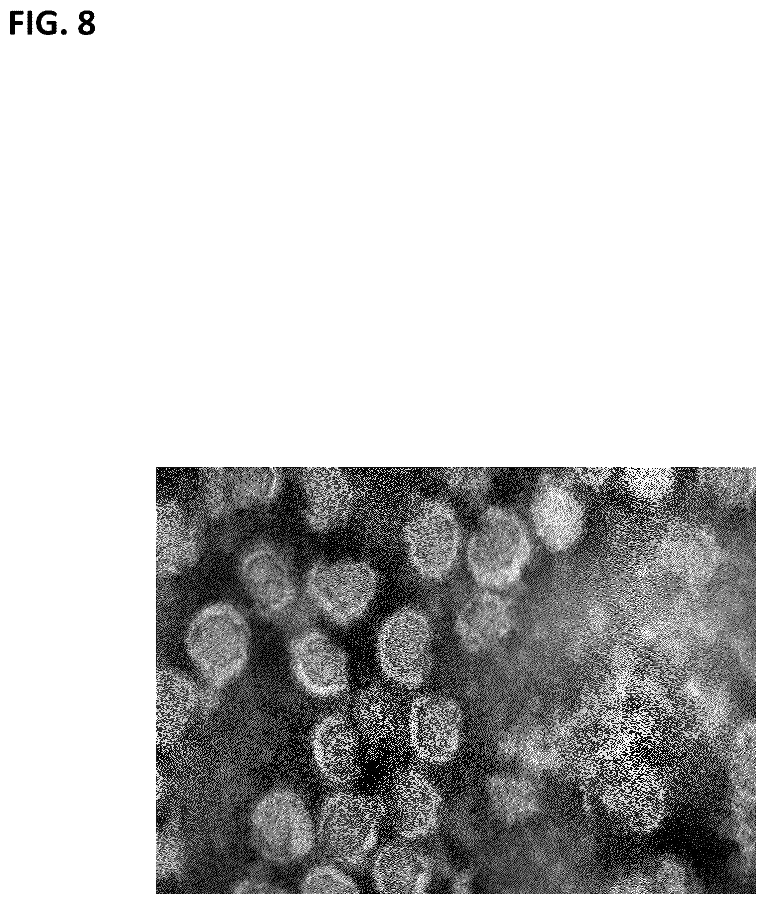 Patent US12297461 Figure 8 – Methods of producing and characterizing virus vaccine and virus vaccine composition