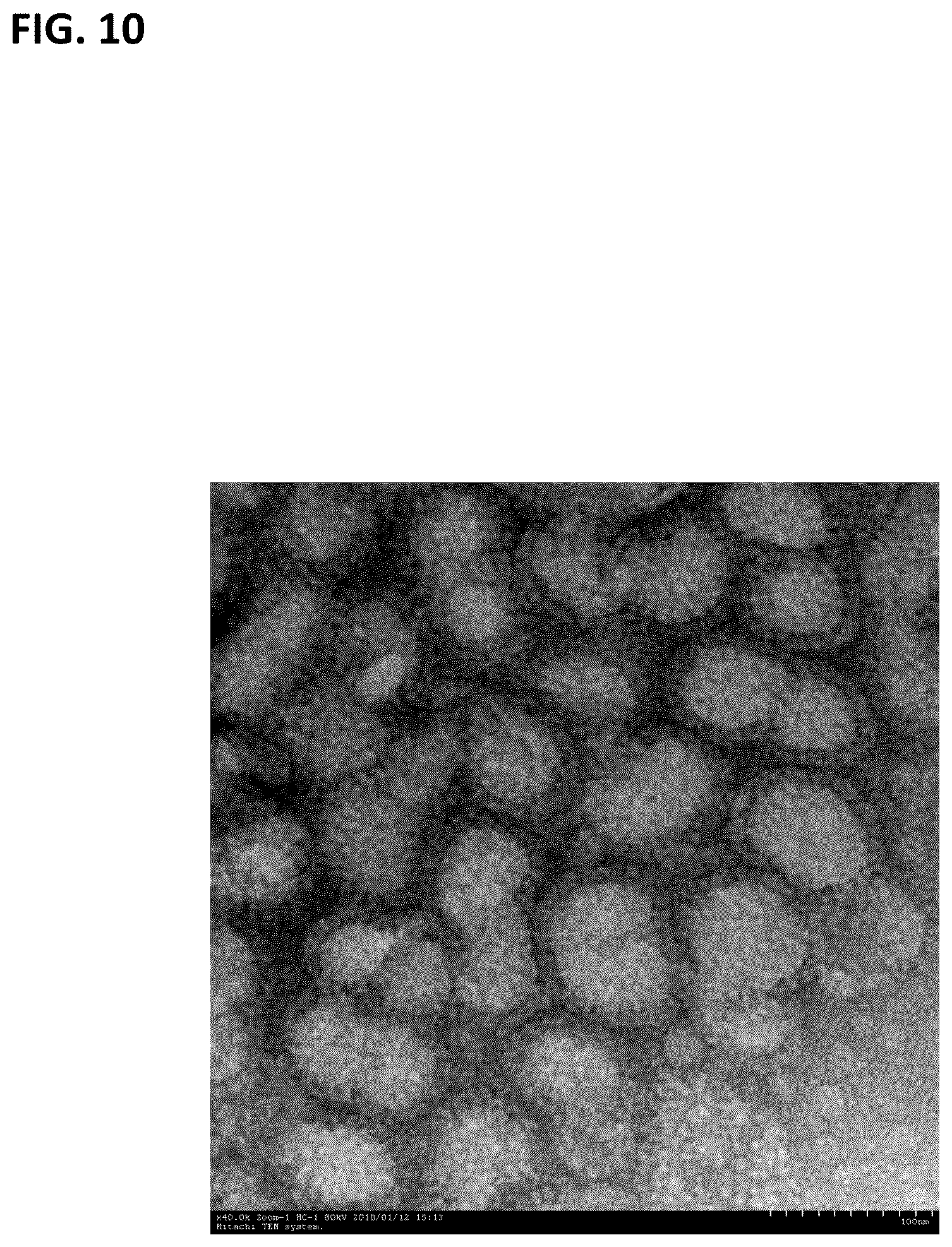 Patent US12297461 Figure 10 – Methods of producing and characterizing virus vaccine and virus vaccine composition