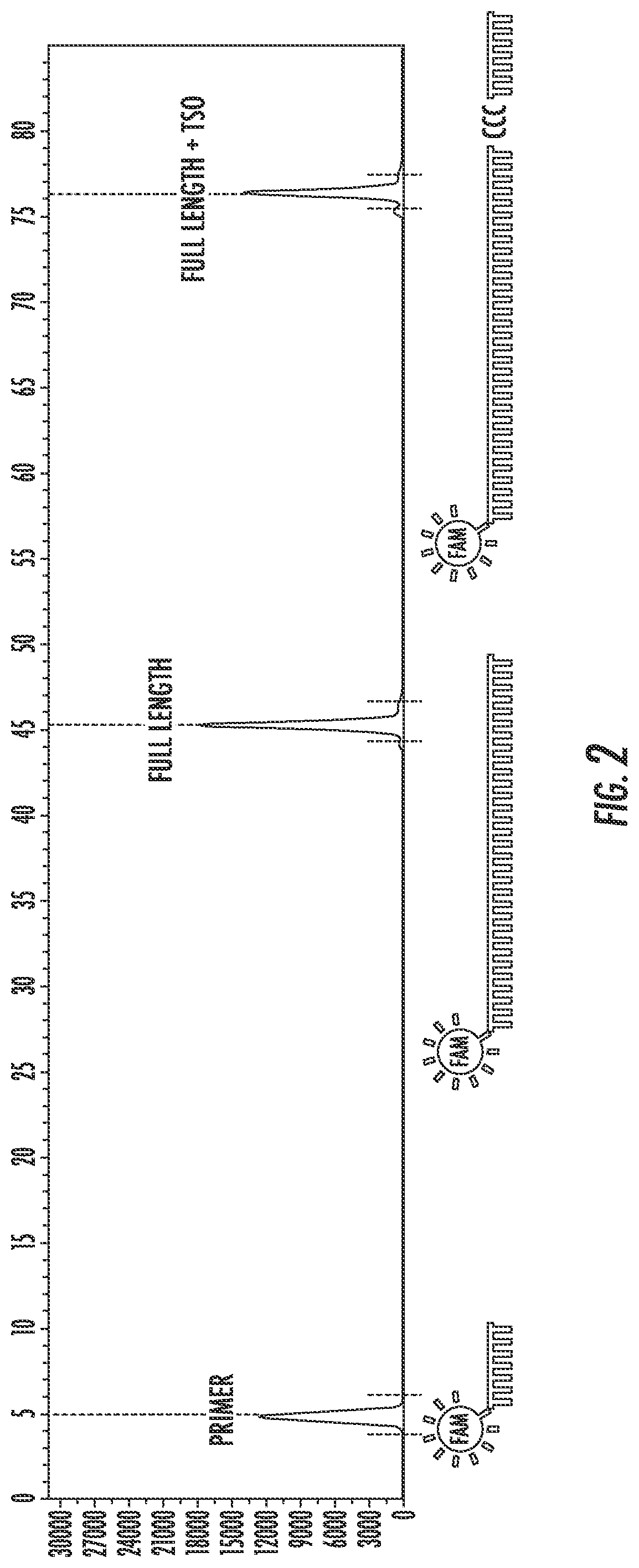 Patent US12297463 Figure 2 – Engineered reverse transcriptase enzymes with enhanced enzymatic activity in nanoliter reaction